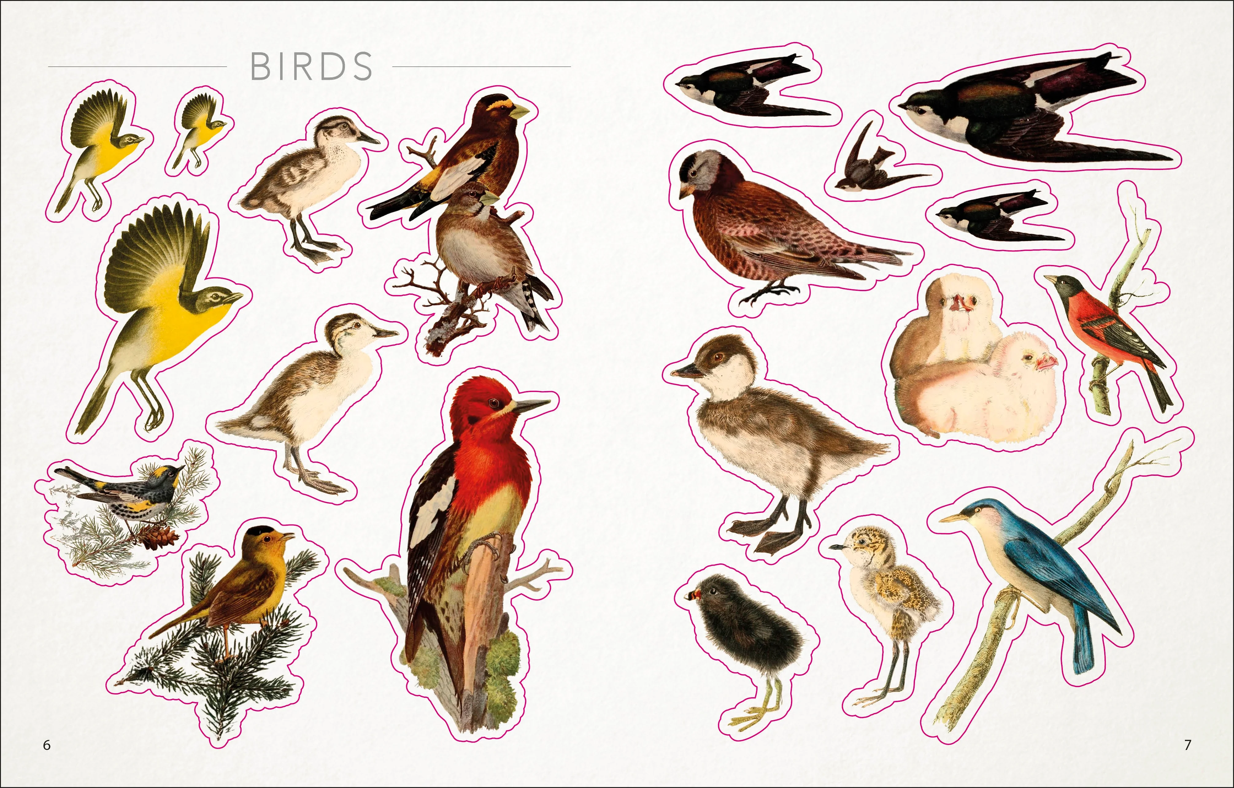 The Bees, Birds & Butterflies Sticker Anthology - Image 6