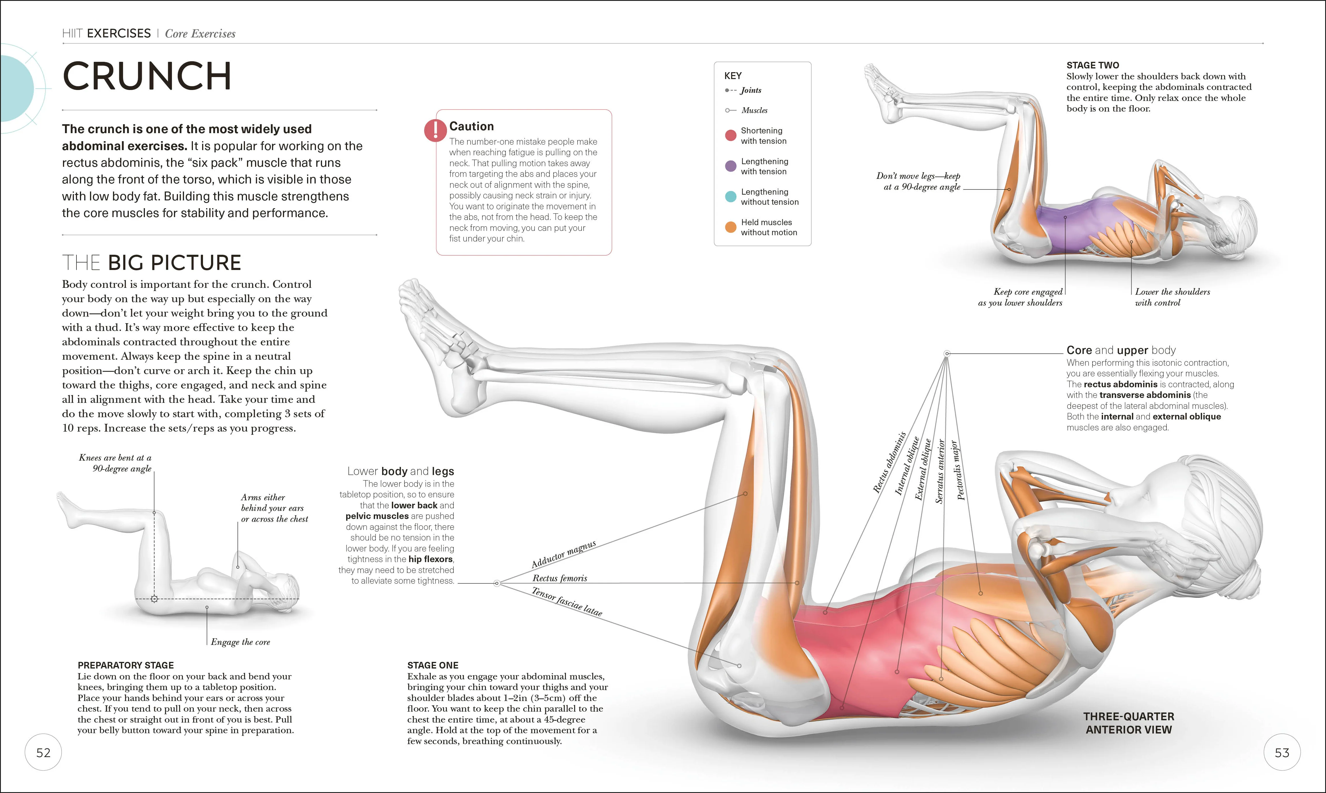 Science of HIIT - Image 5