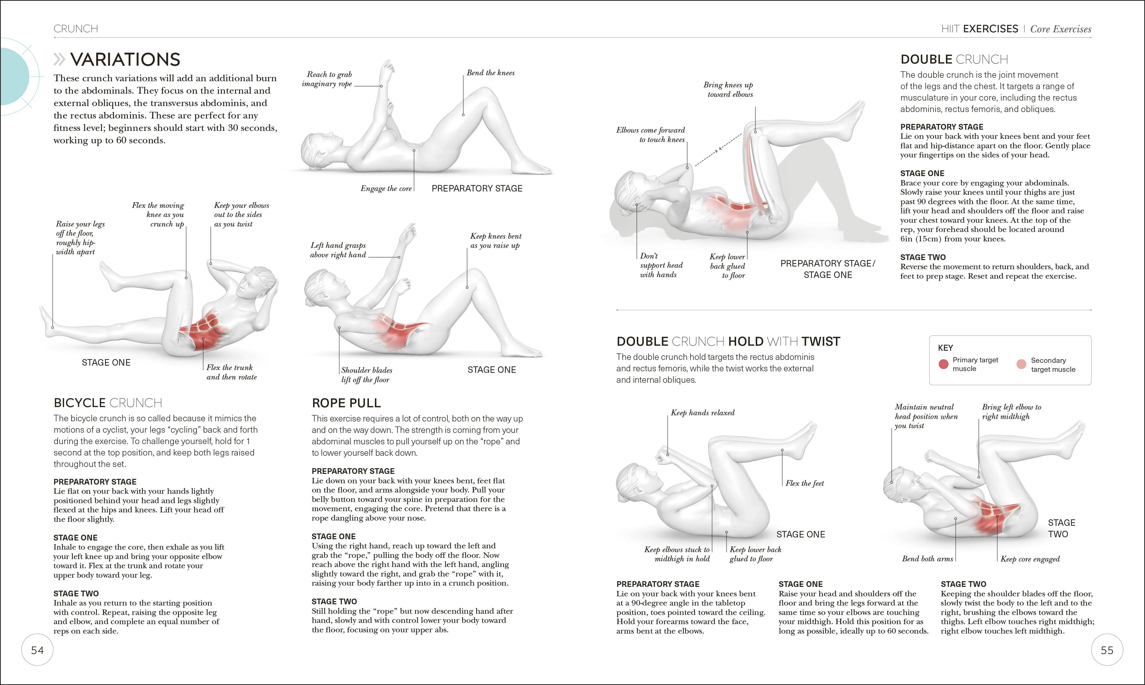 Science of HIIT - Image 6