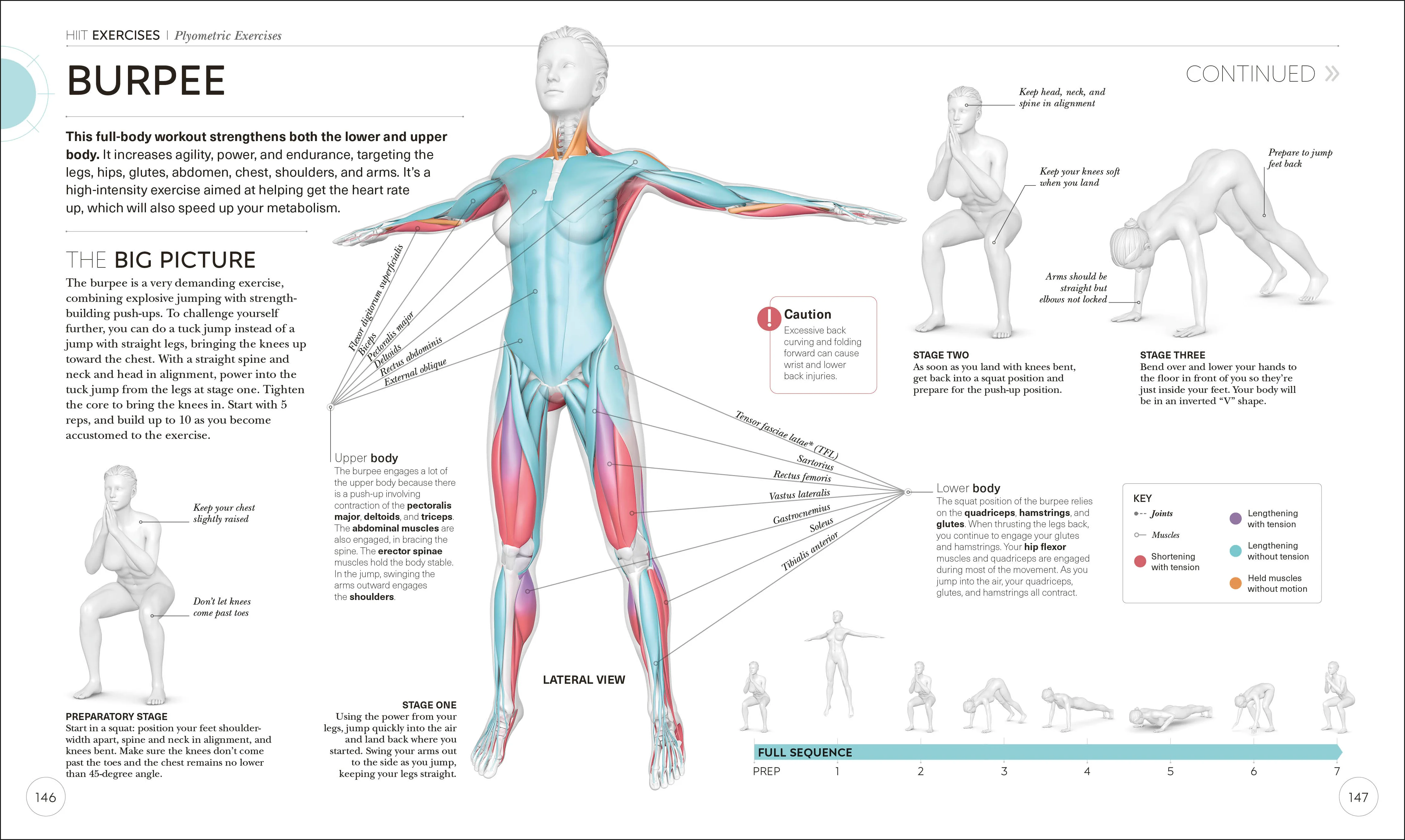 Science of HIIT - Image 7