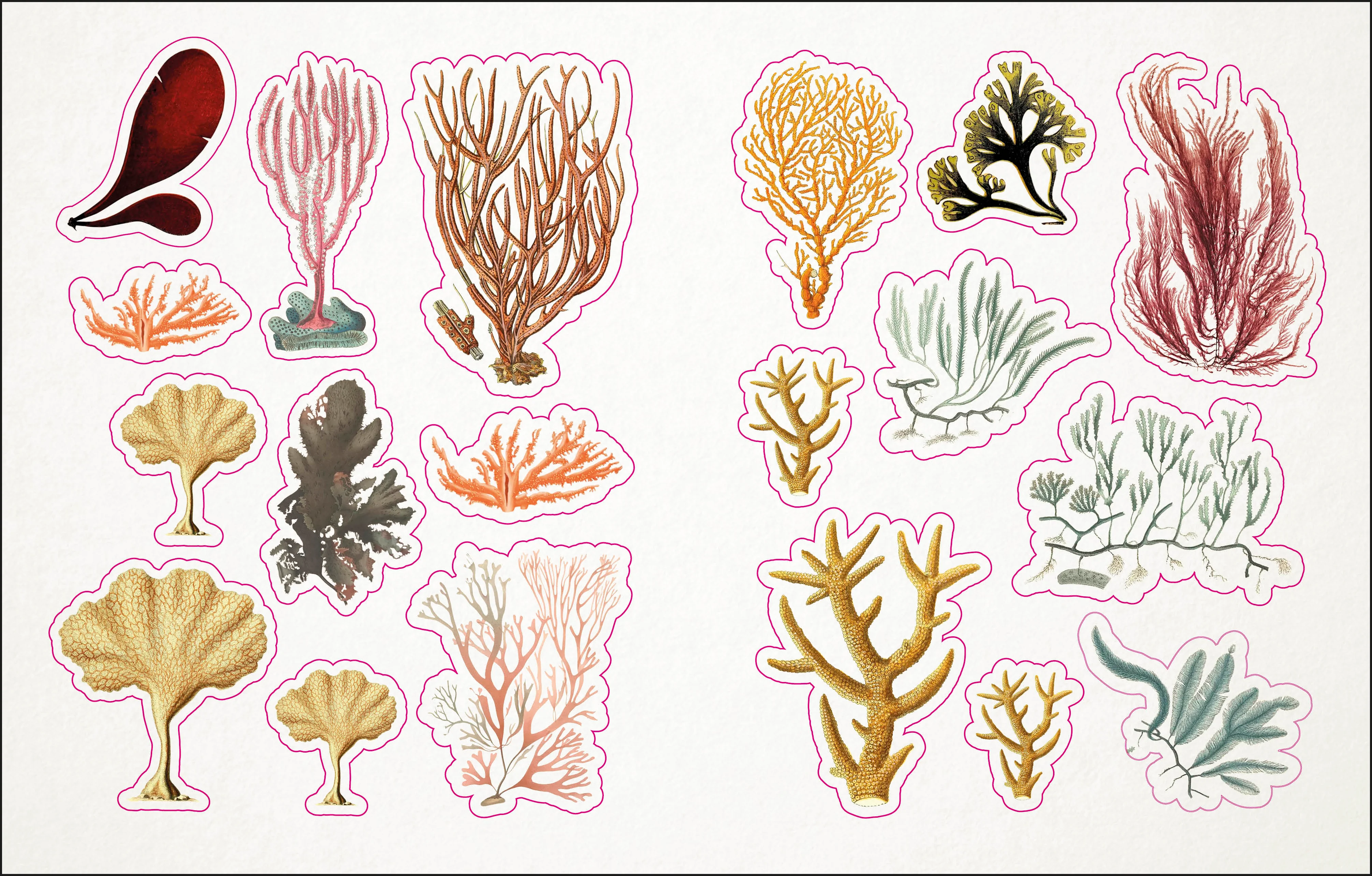 The Seashore Sticker Anthology - Image 11