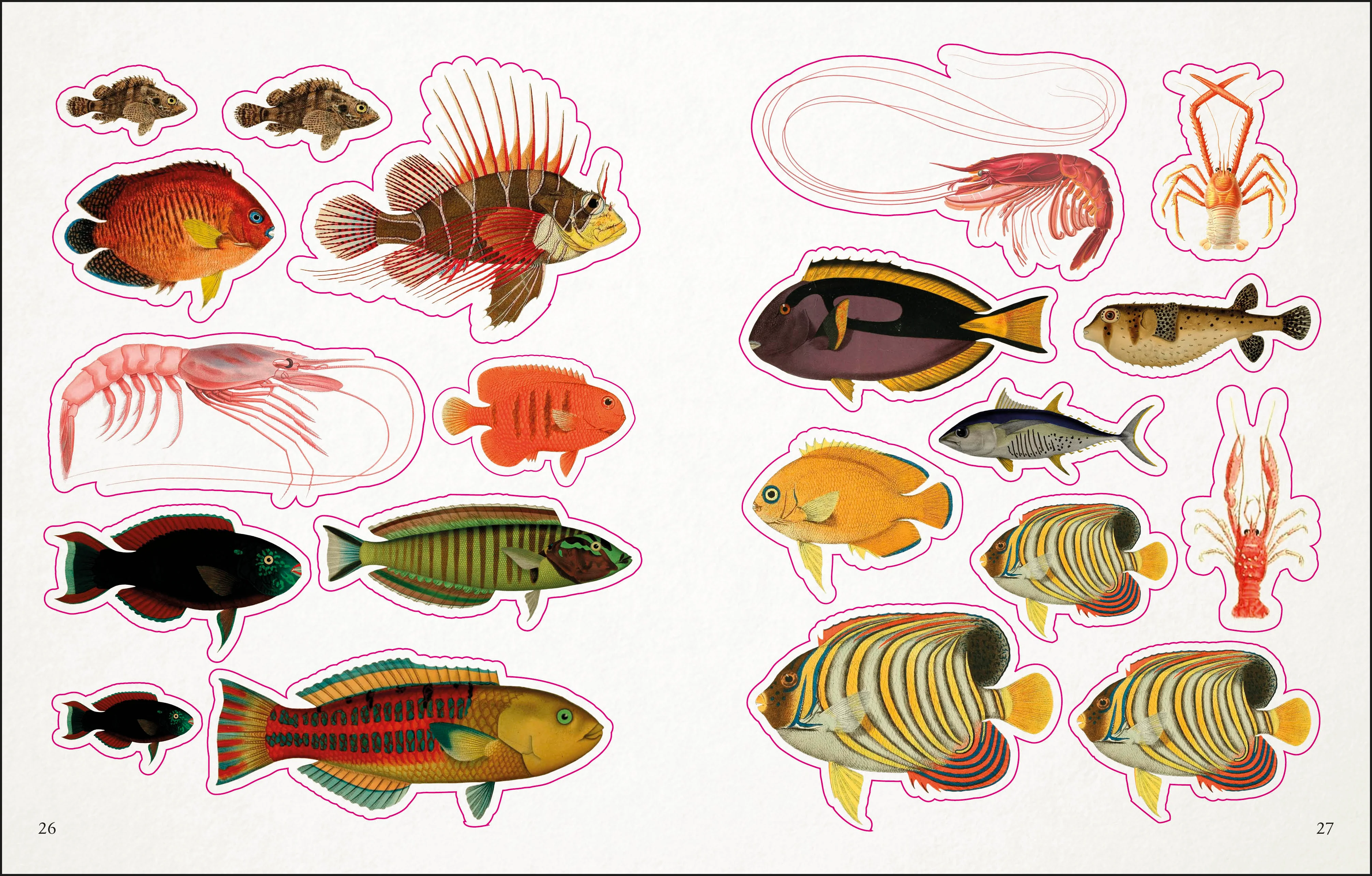 The Seashore Sticker Anthology - Image 3