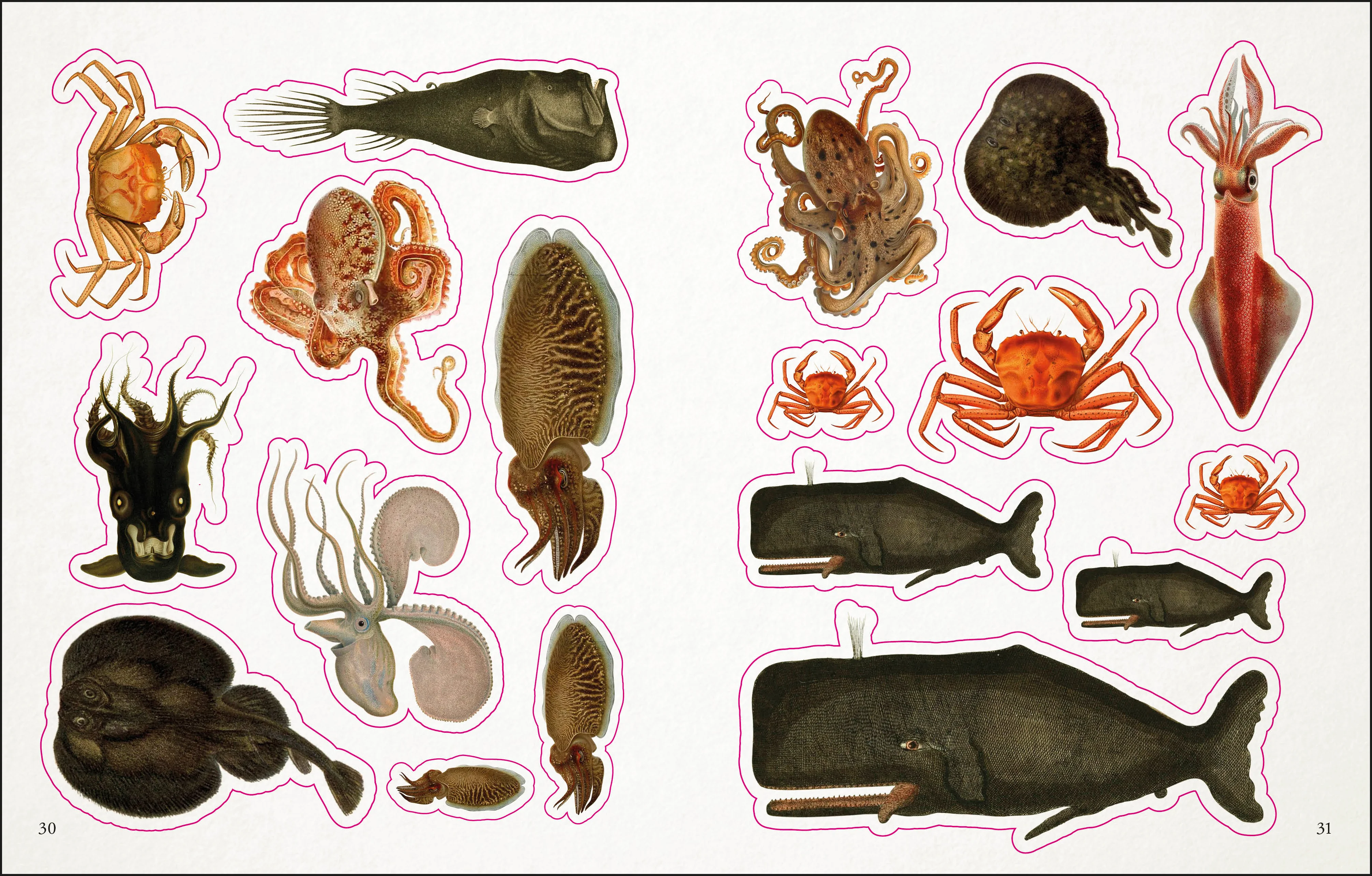 The Seashore Sticker Anthology - Image 4