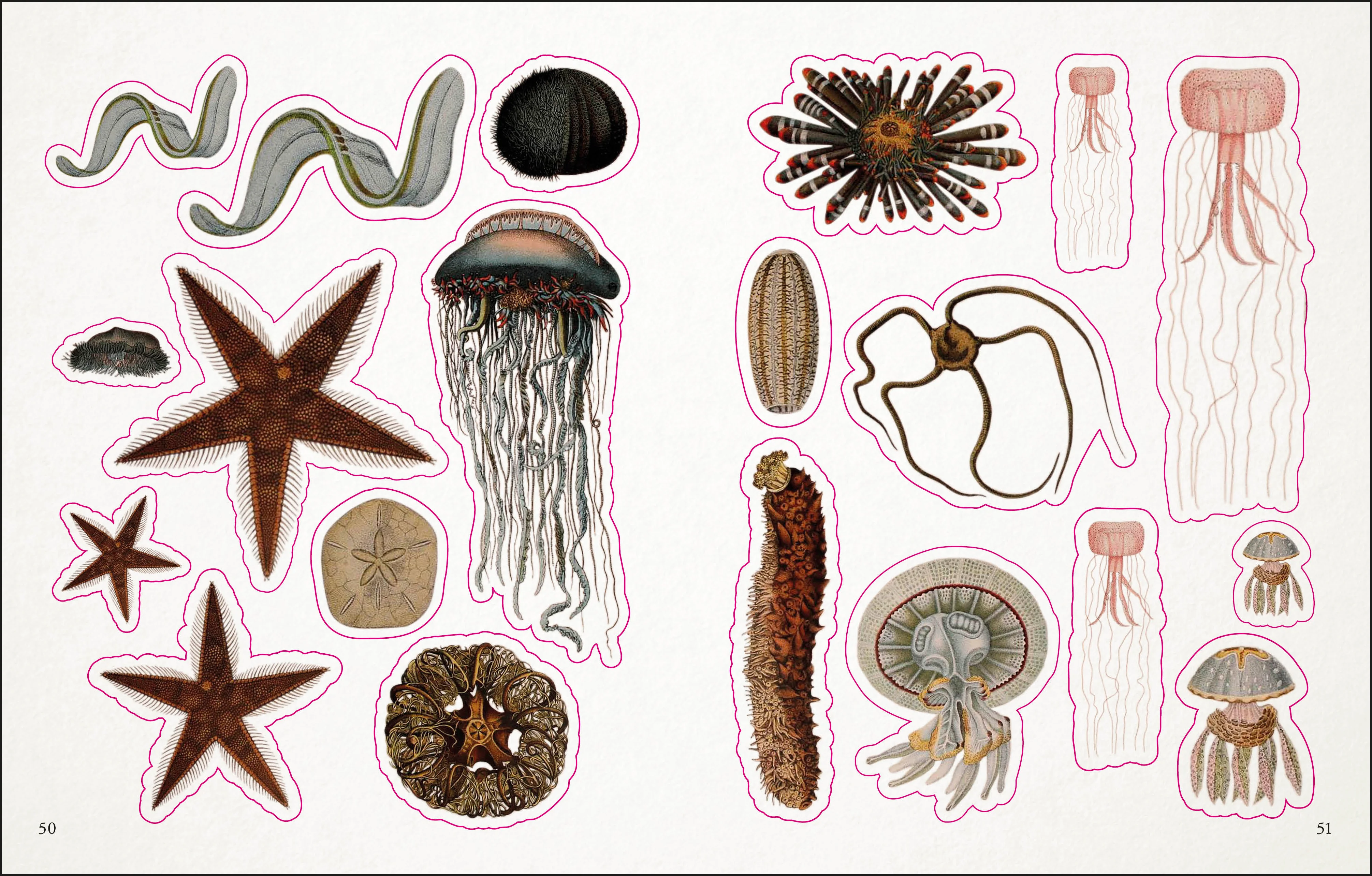 The Seashore Sticker Anthology - Image 5
