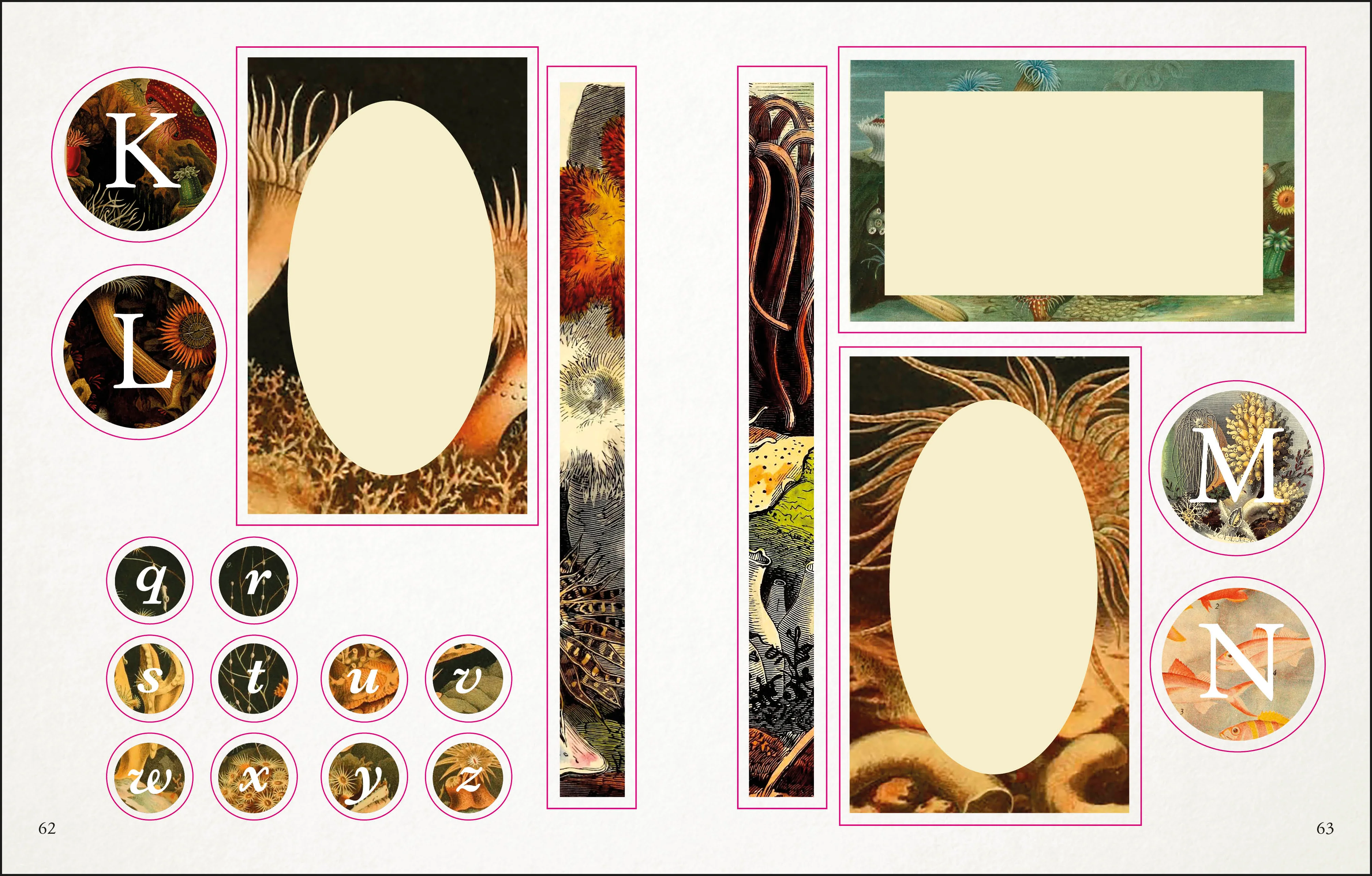 The Seashore Sticker Anthology - Image 6
