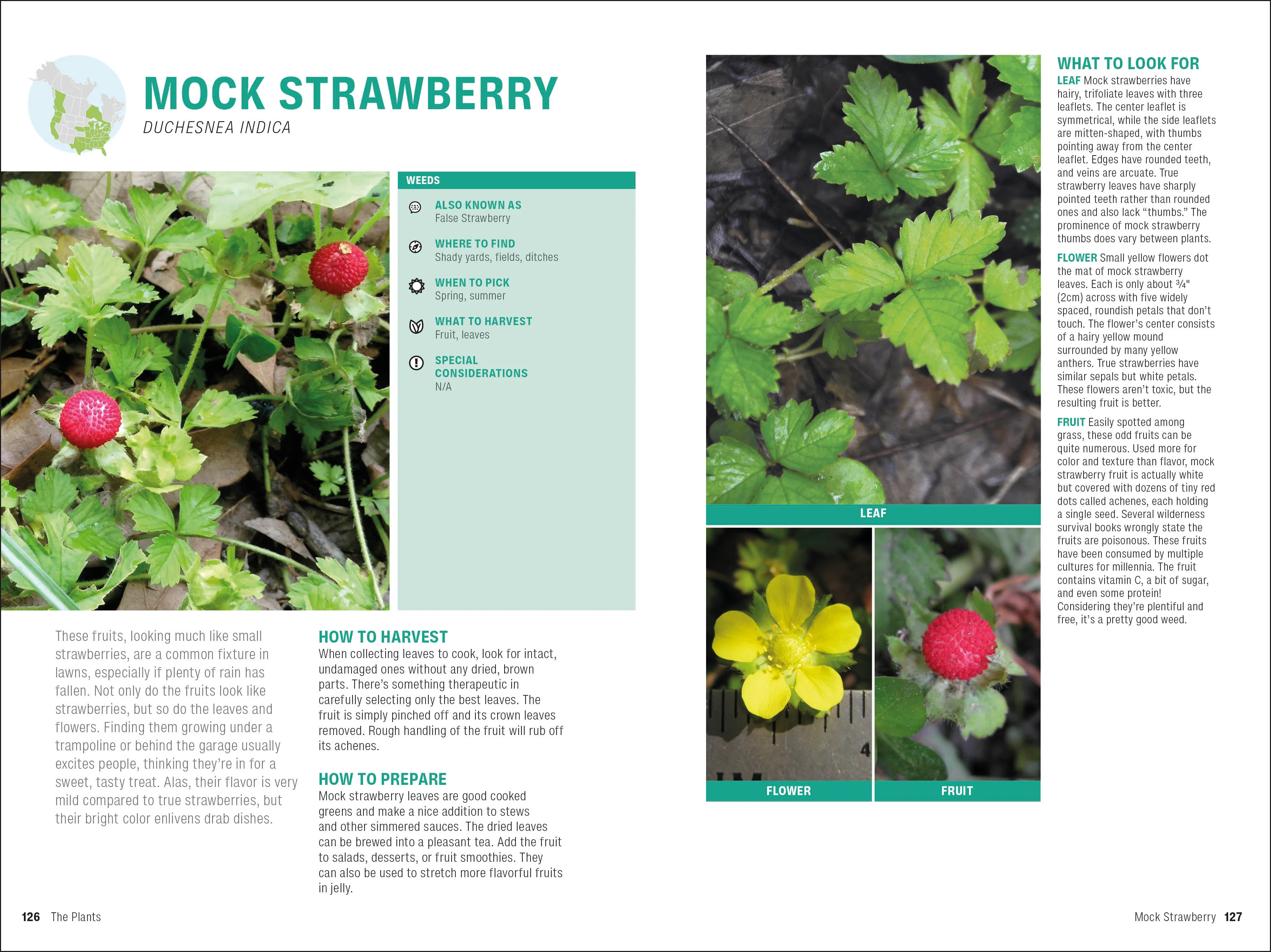 Foraging - Image 6