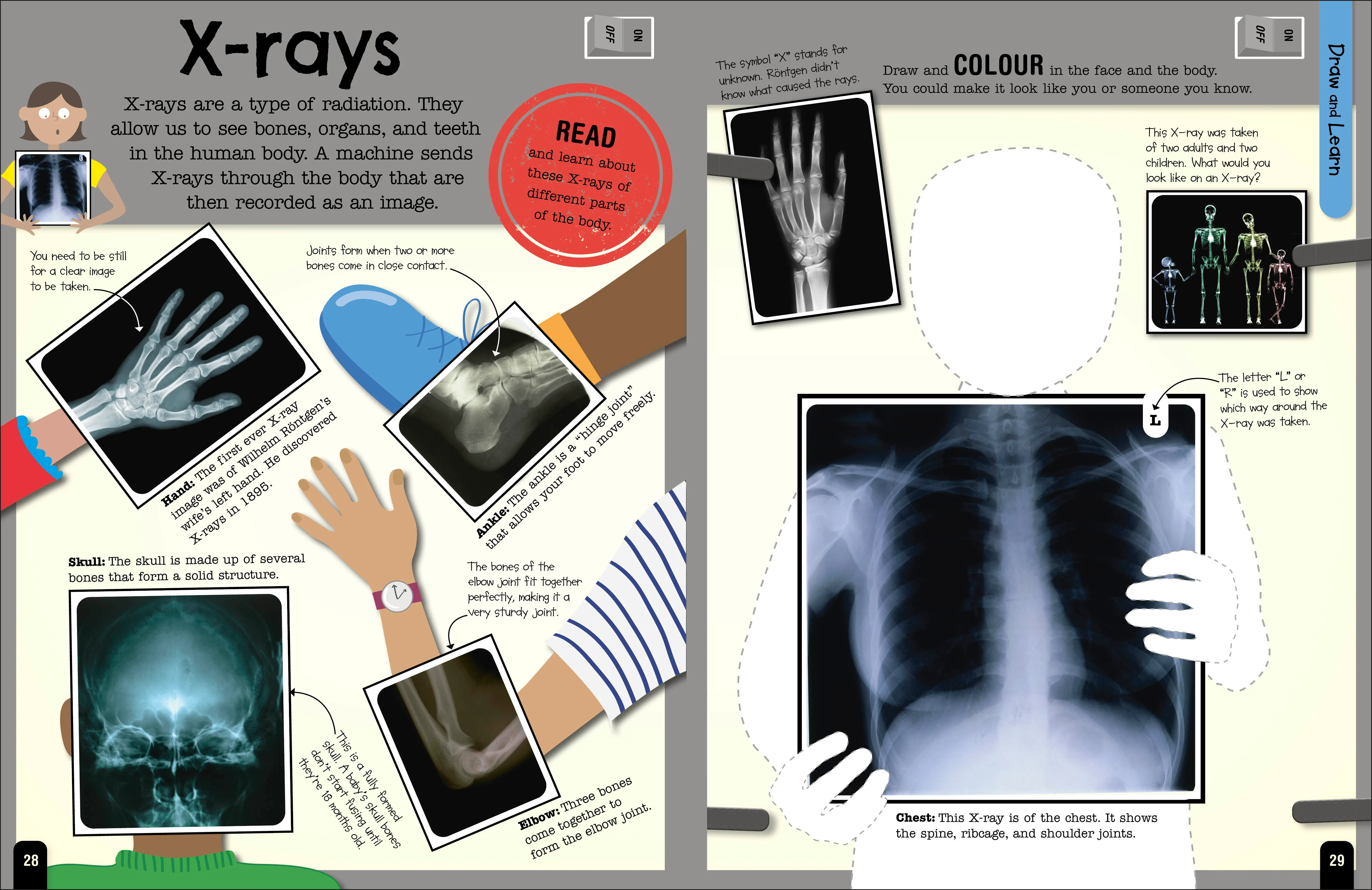 The Fact-Packed Activity Book: Human Body - Image 2