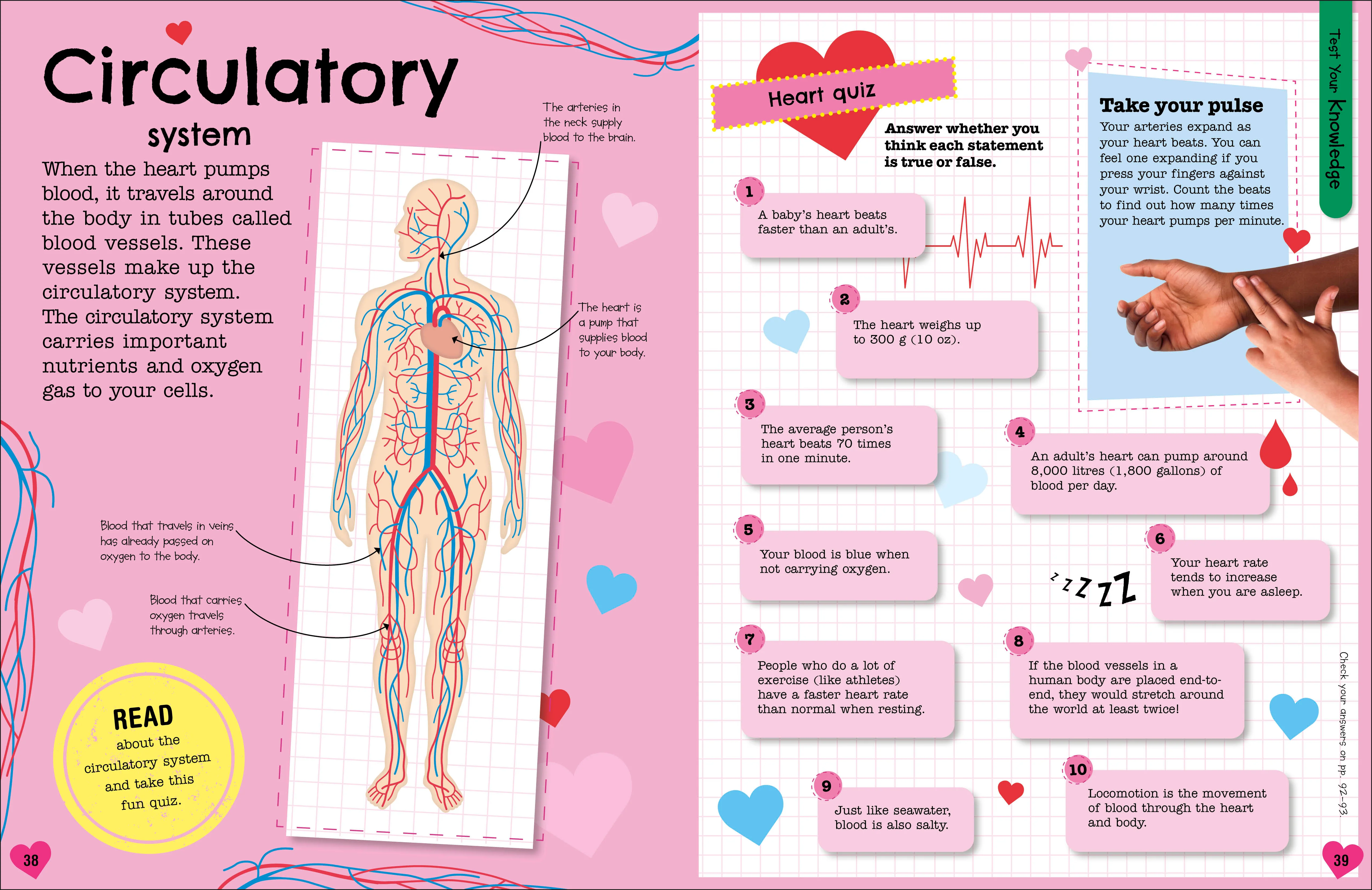 The Fact-Packed Activity Book: Human Body - Image 3