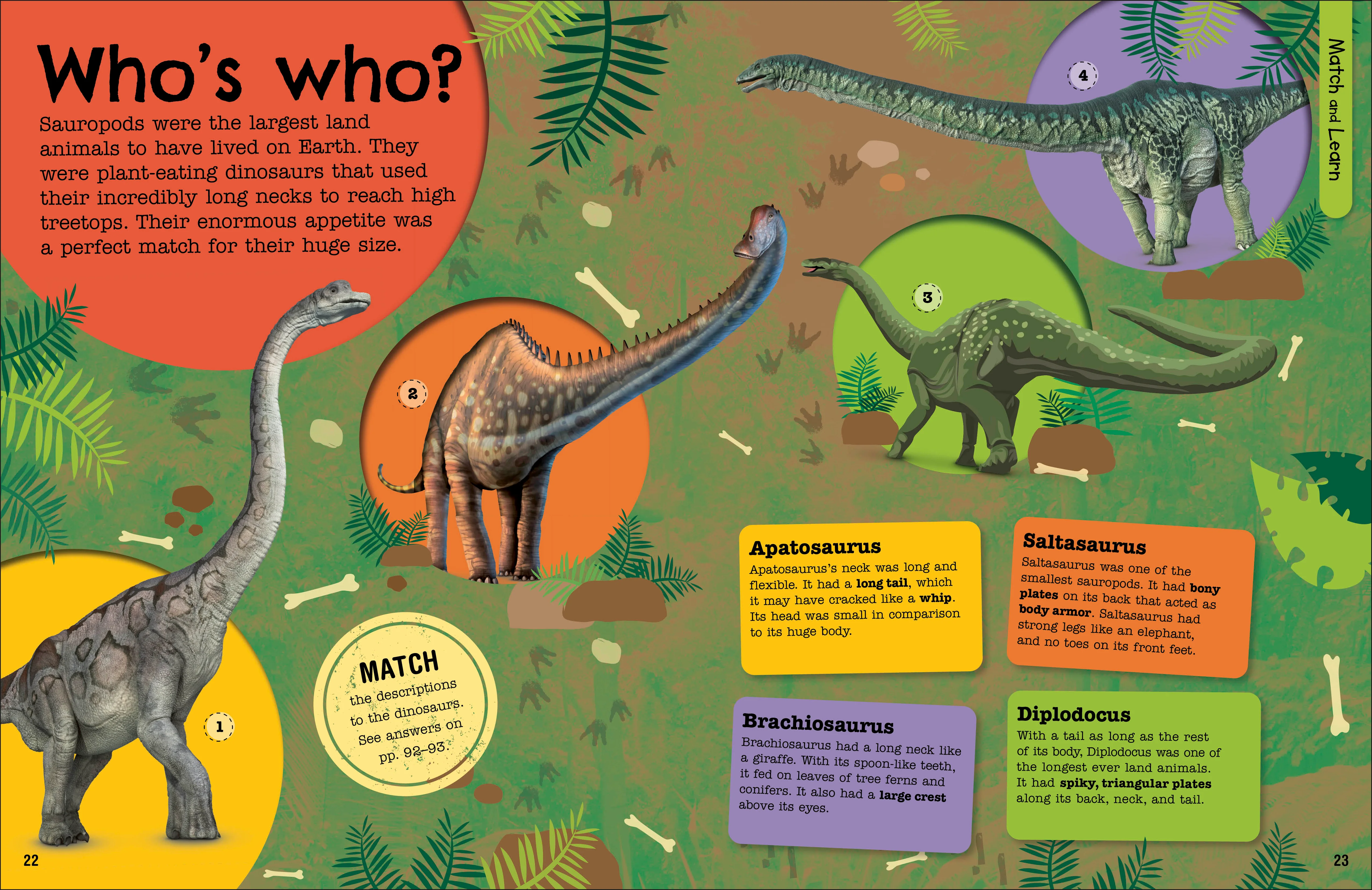 The Fact-Packed Activity Book: Dinosaurs - Image 3