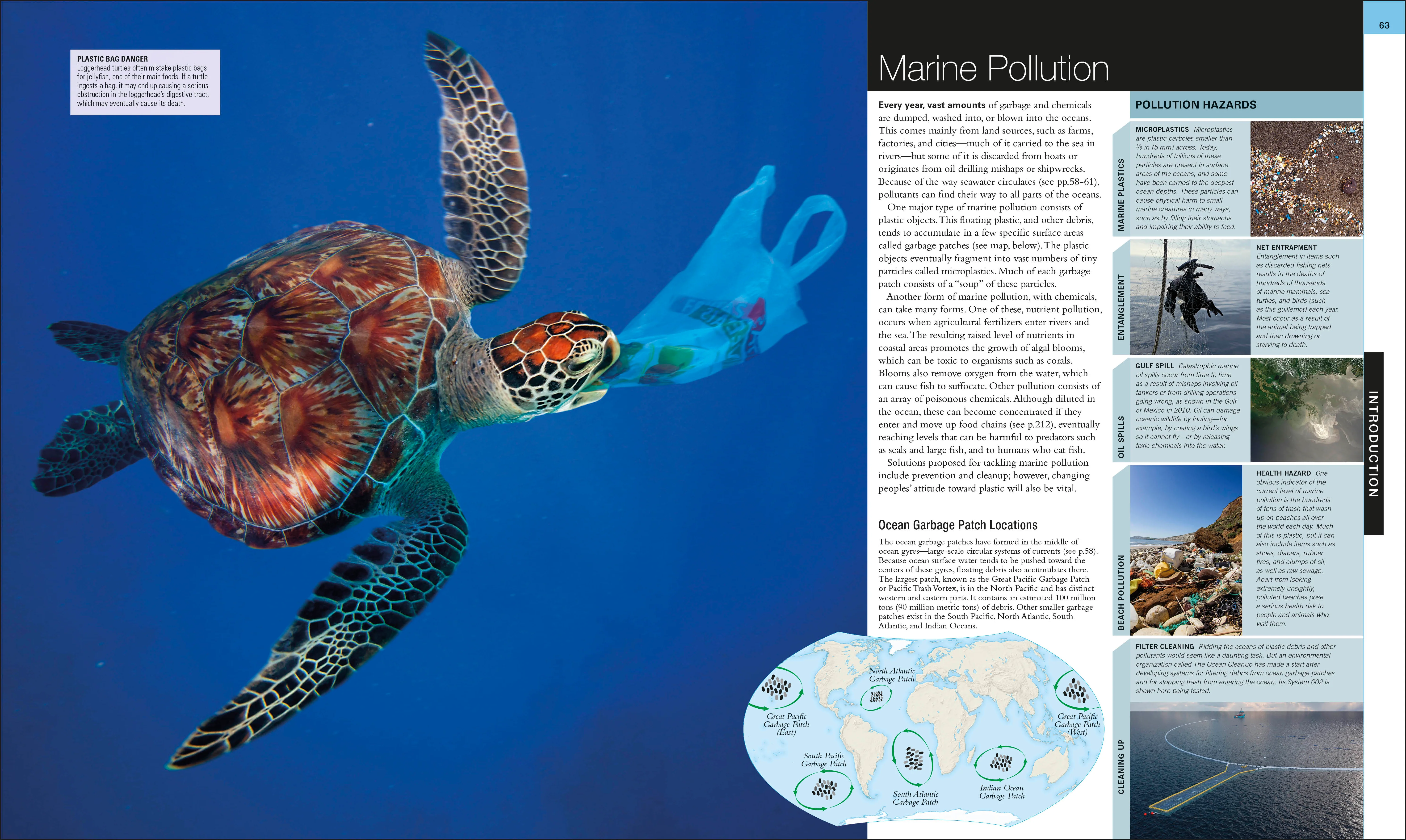 Ocean - Image 3