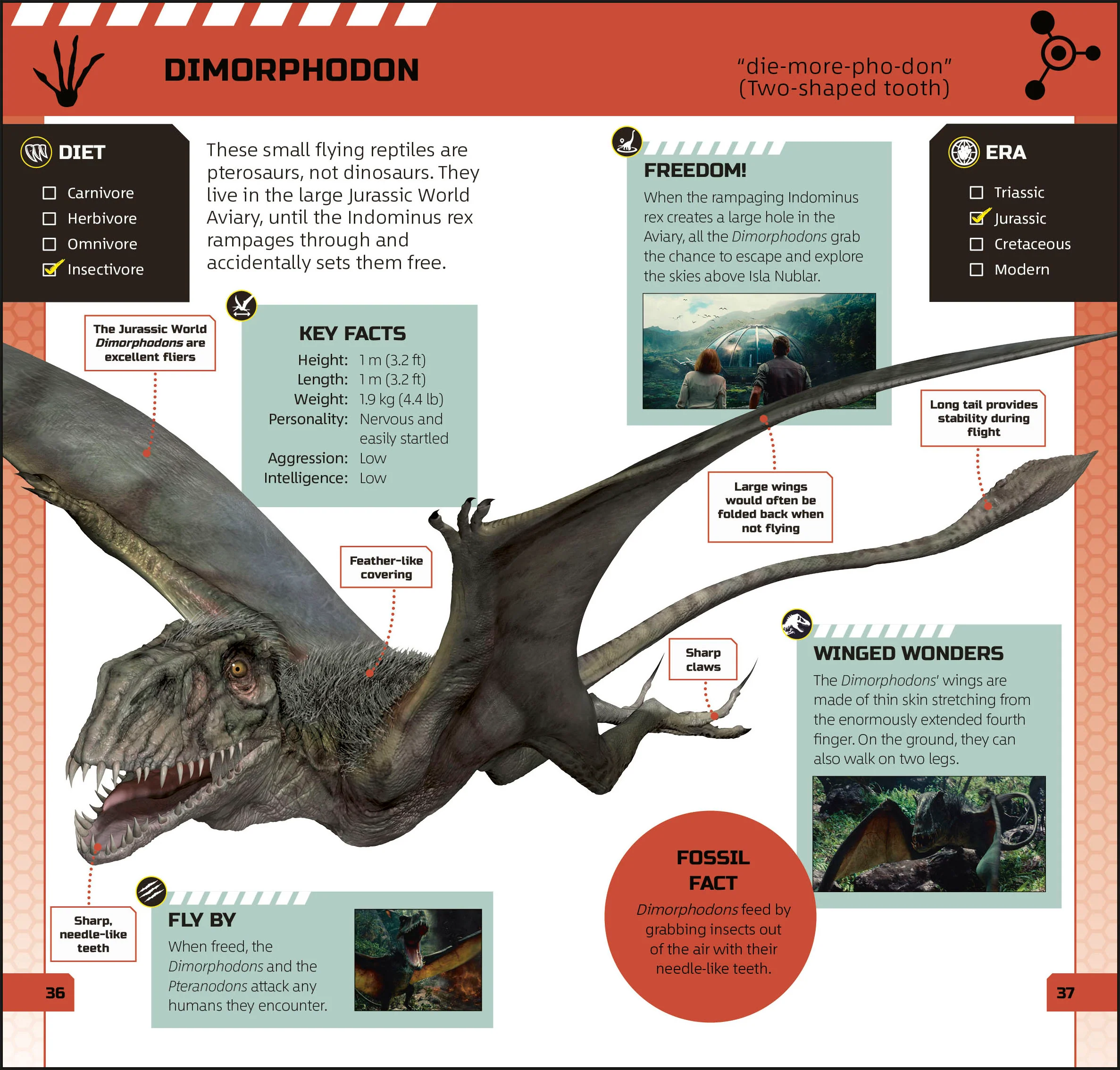 Jurassic World Pocket Expert - Image 4