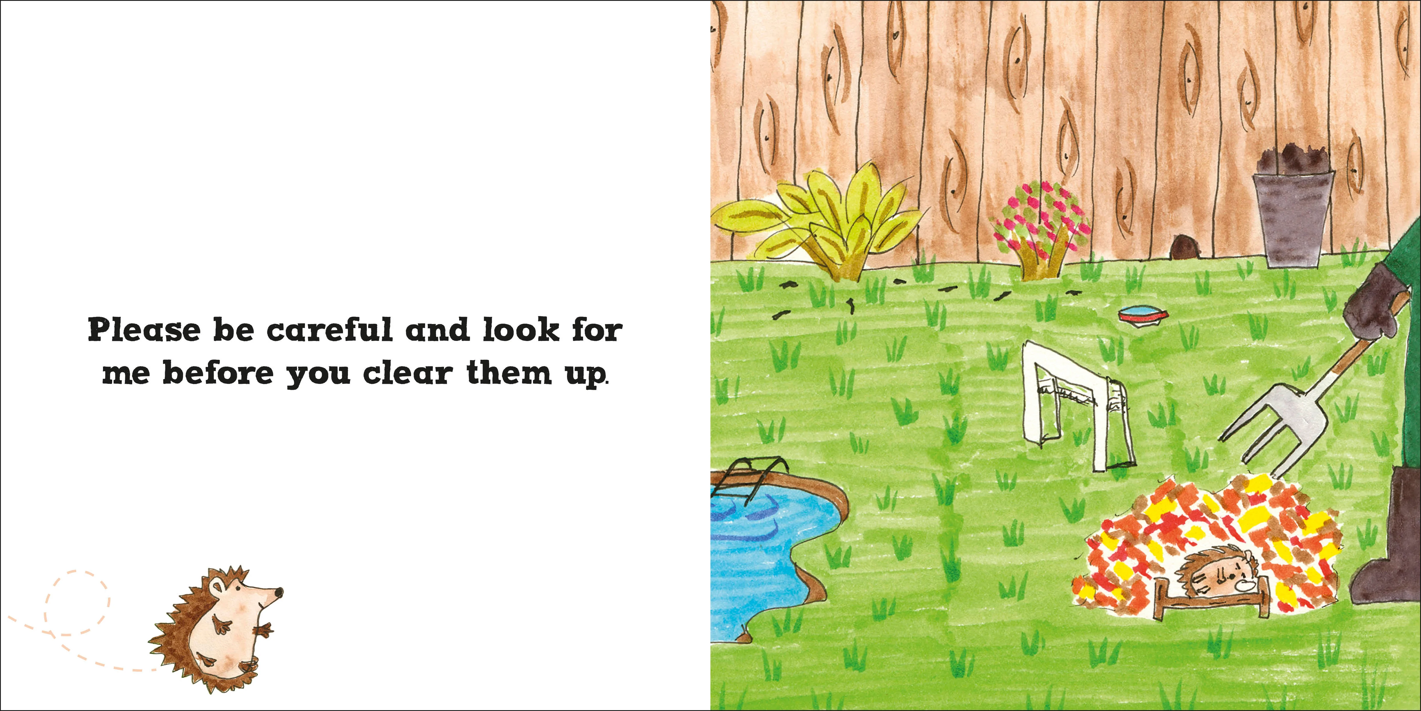 Roly the Hedgehog - Image 3