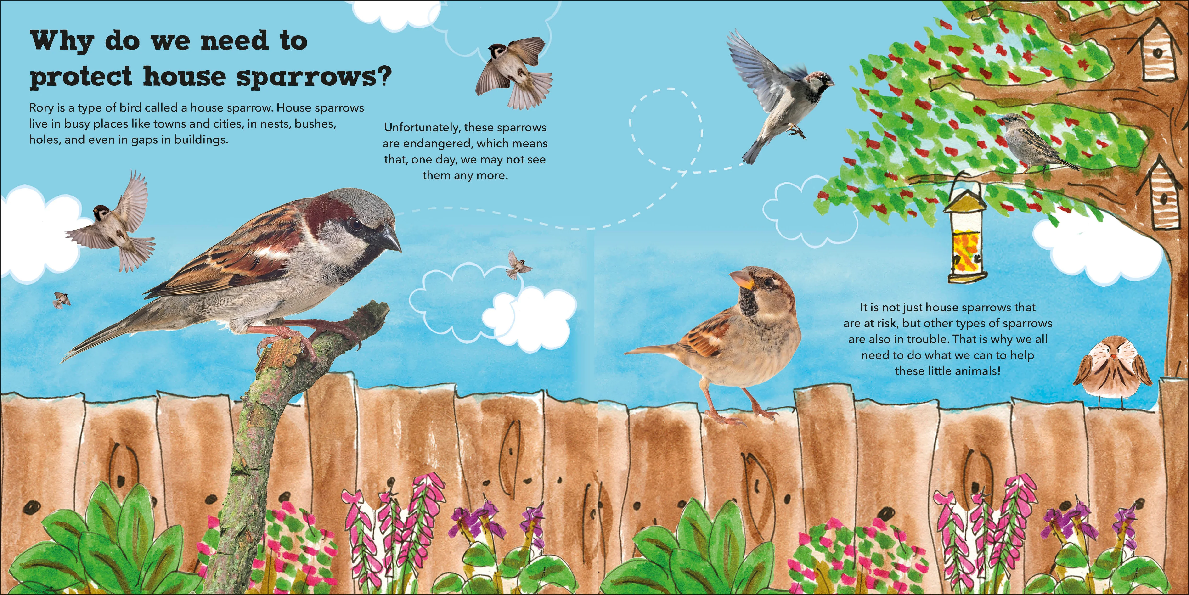 Rory the Garden Bird - Image 4