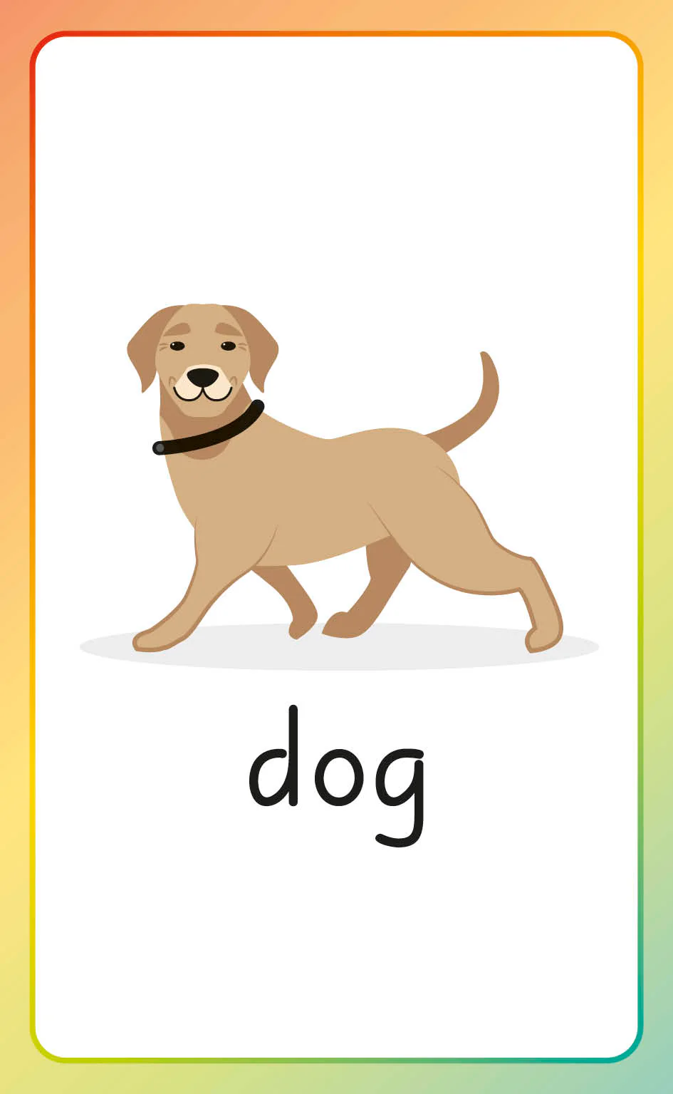 English for Everyone Junior English Alphabet Flash Cards - Image 5