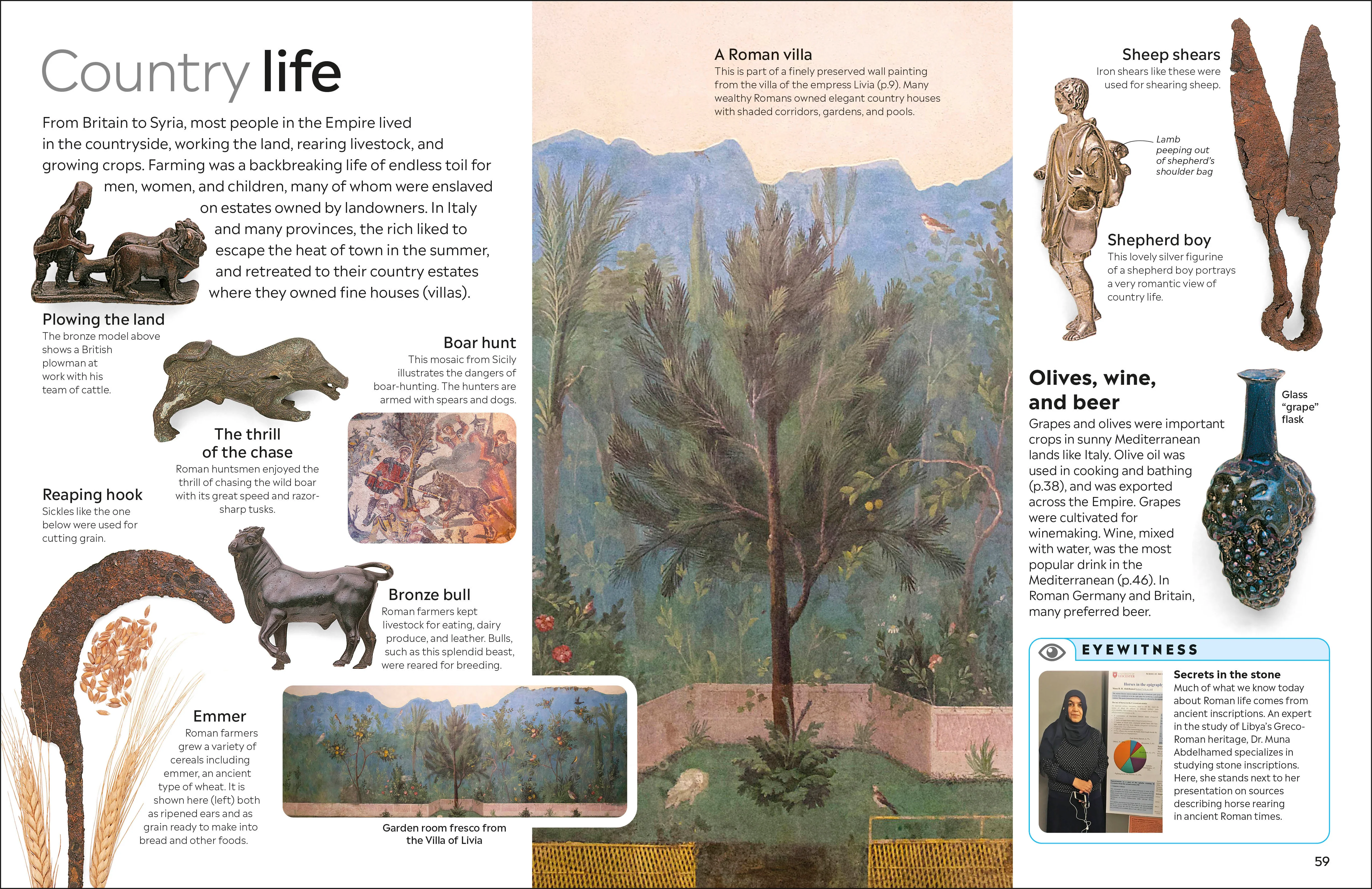 Ancient Rome - Image 4