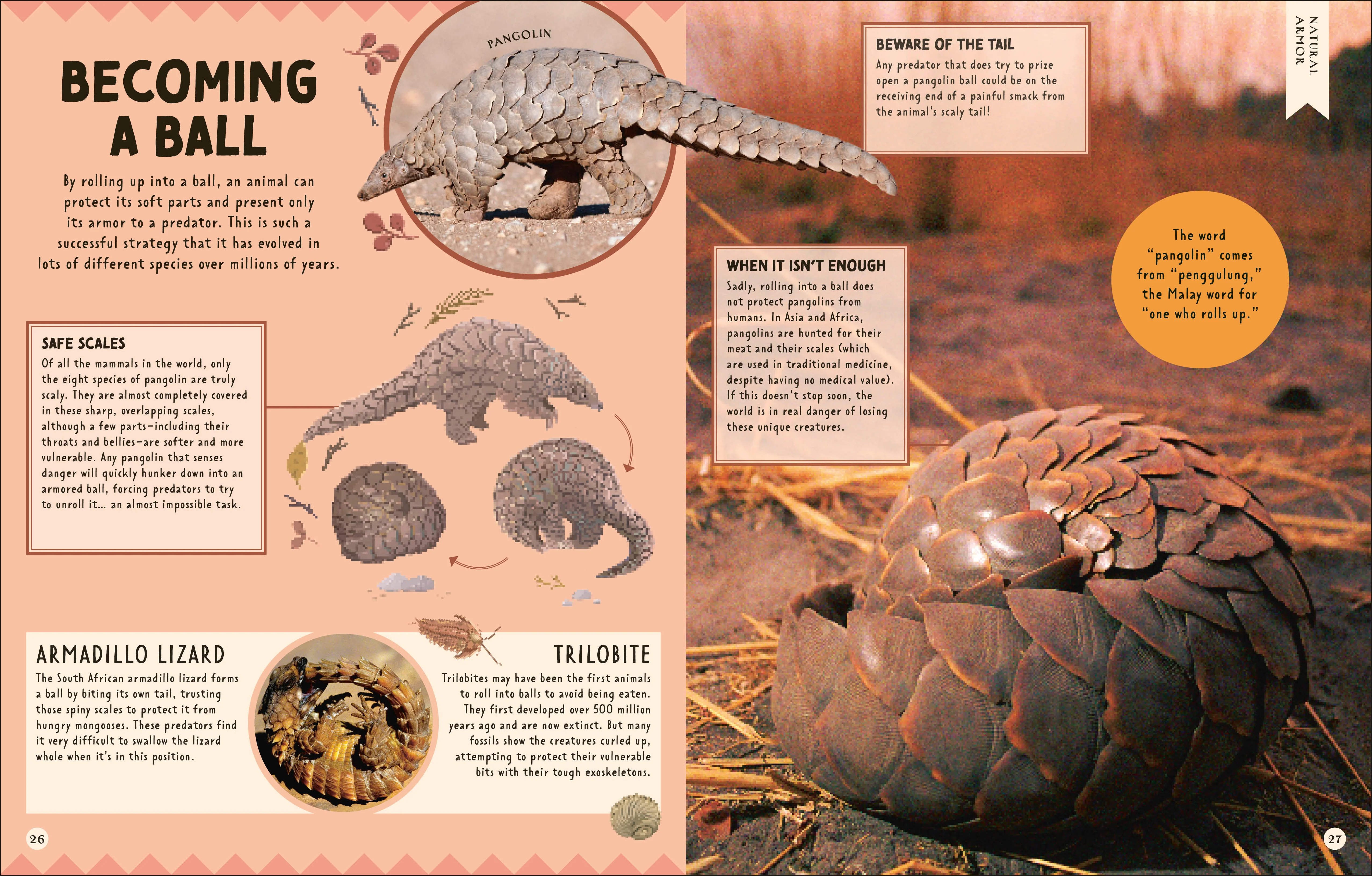 How Not to Get Eaten - Image 4