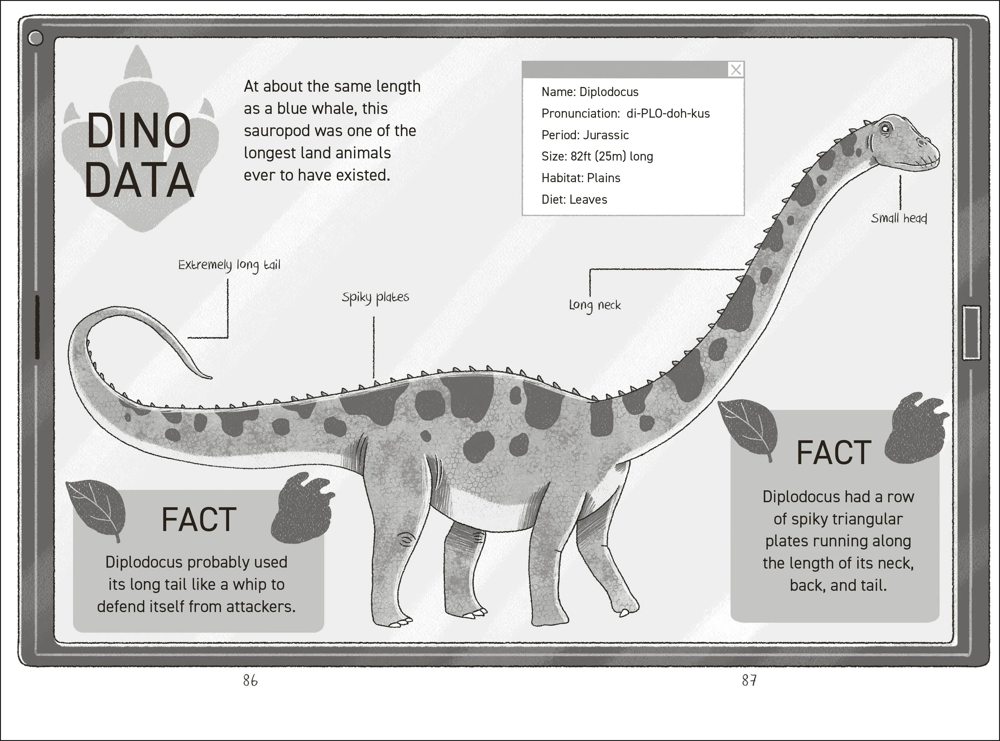 Dinosaur Club: Tracking the Diplodocus - Image 15