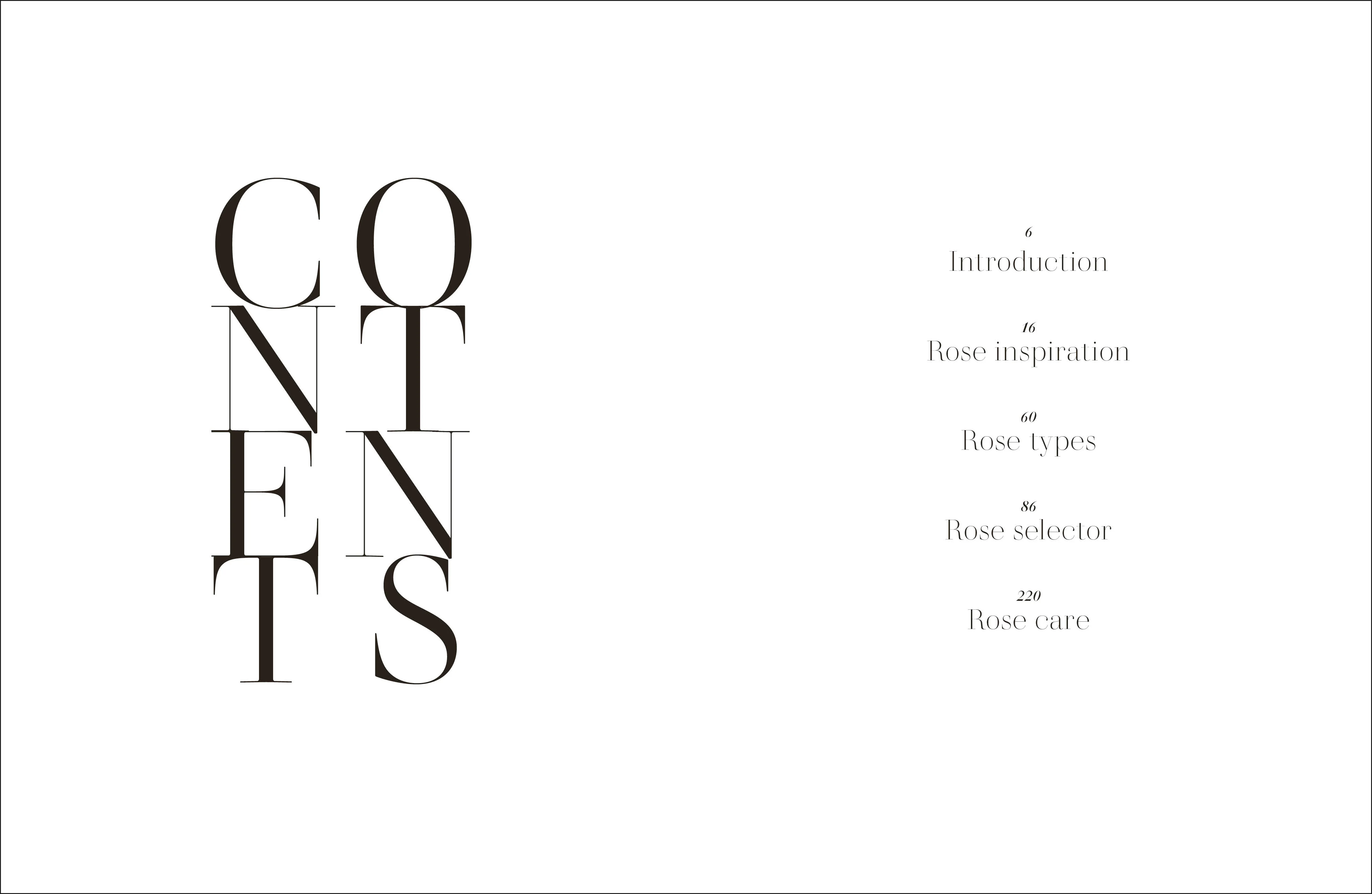 Roses - Image 2