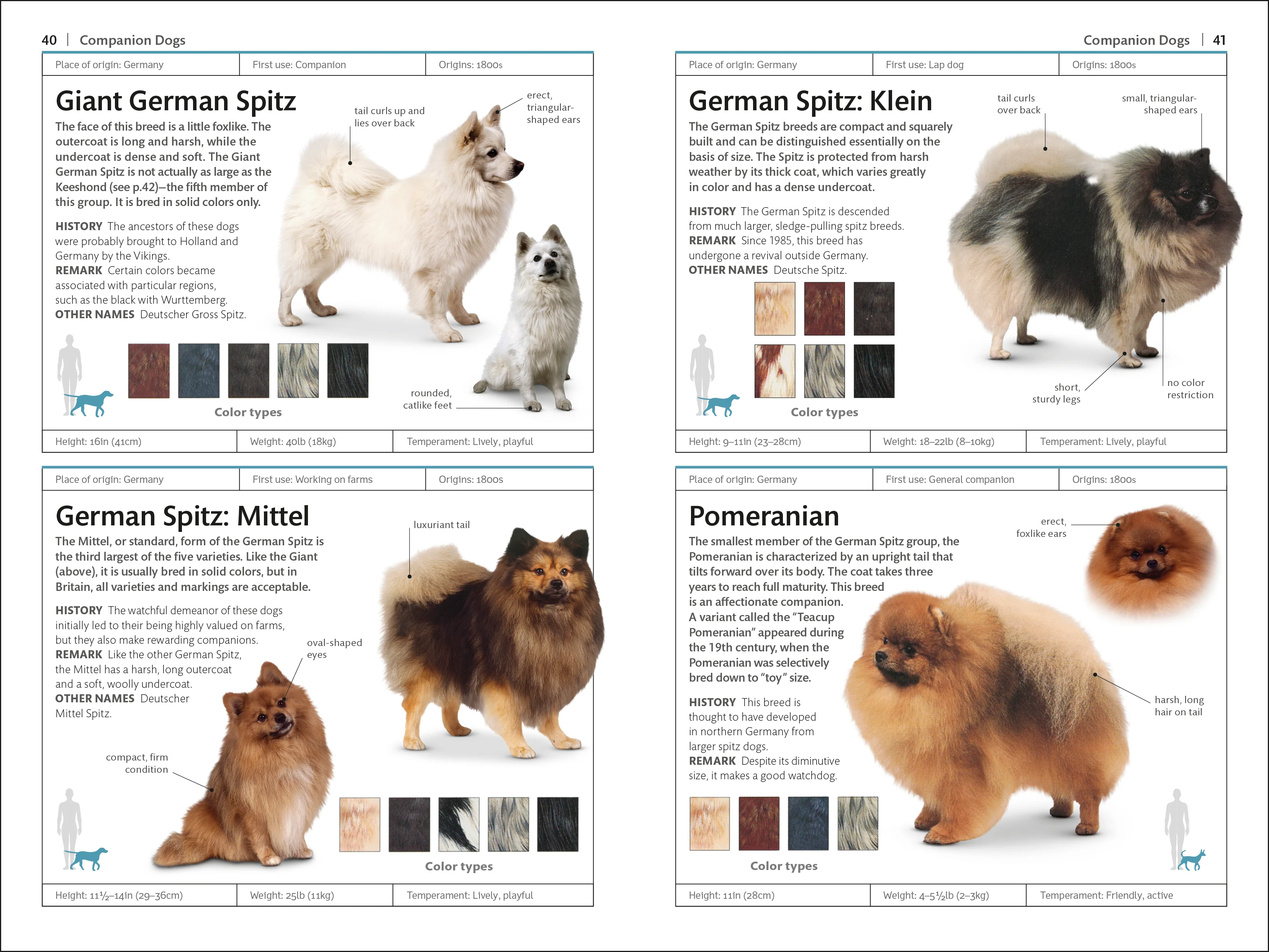 Dogs - Image 3