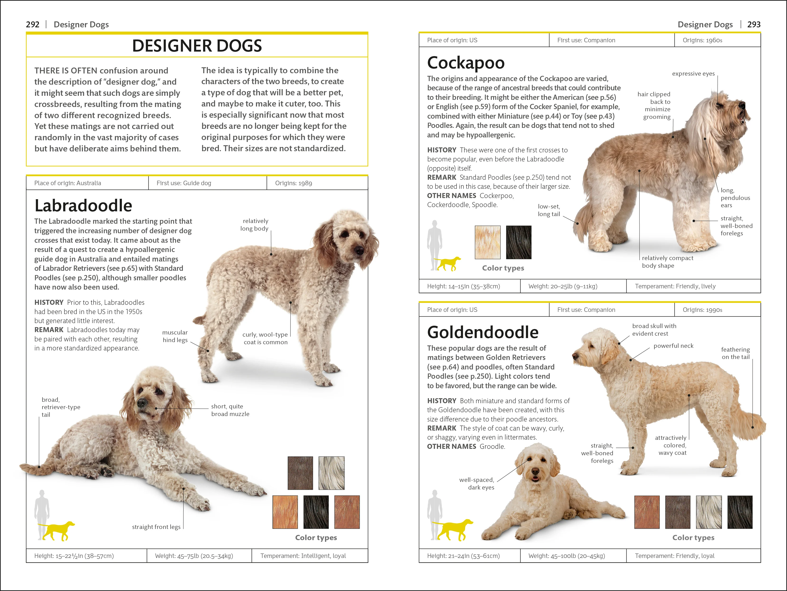Dogs - Image 5