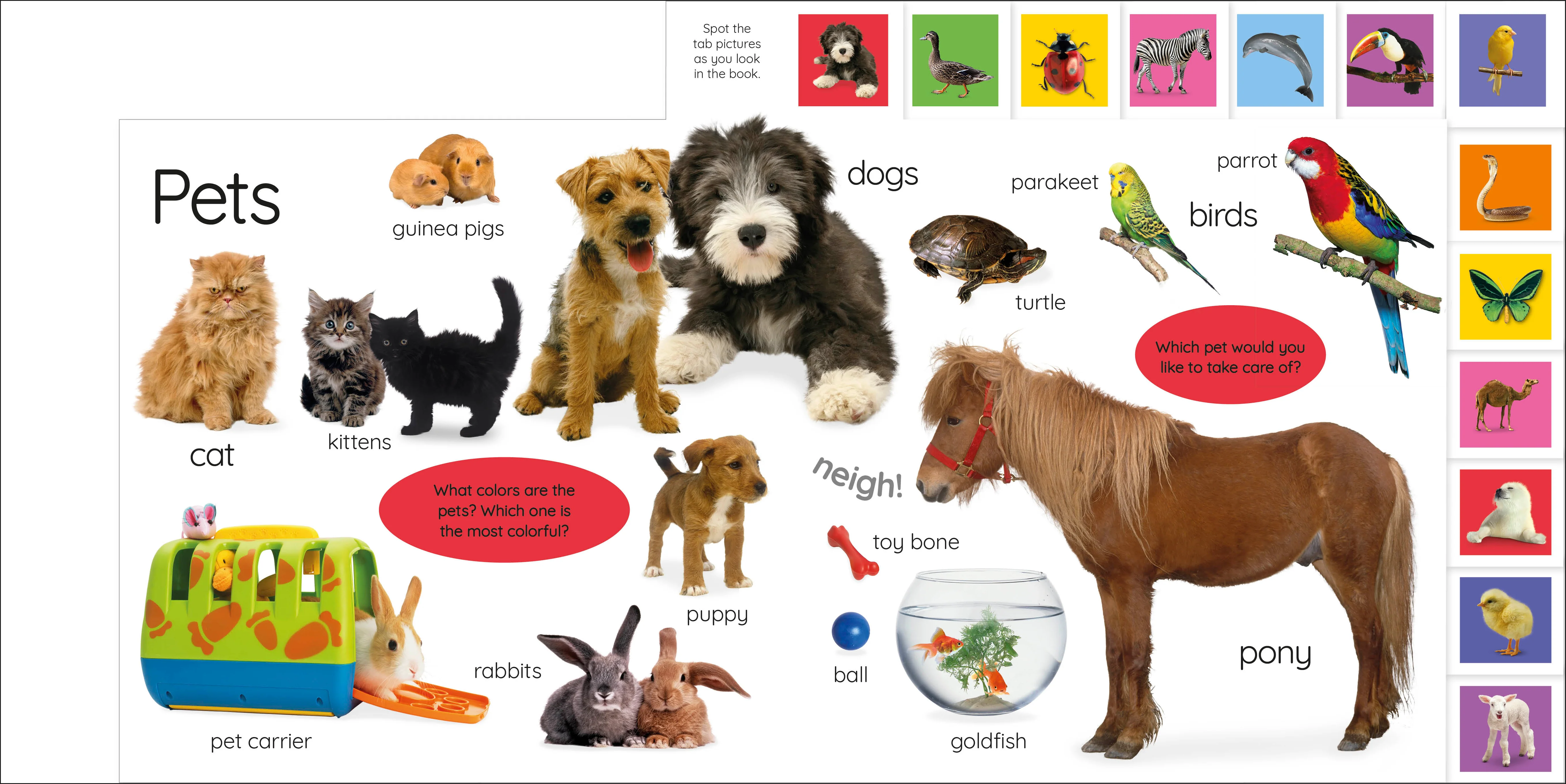 My First Animals: Let's Squeak and Squawk! - Image 2
