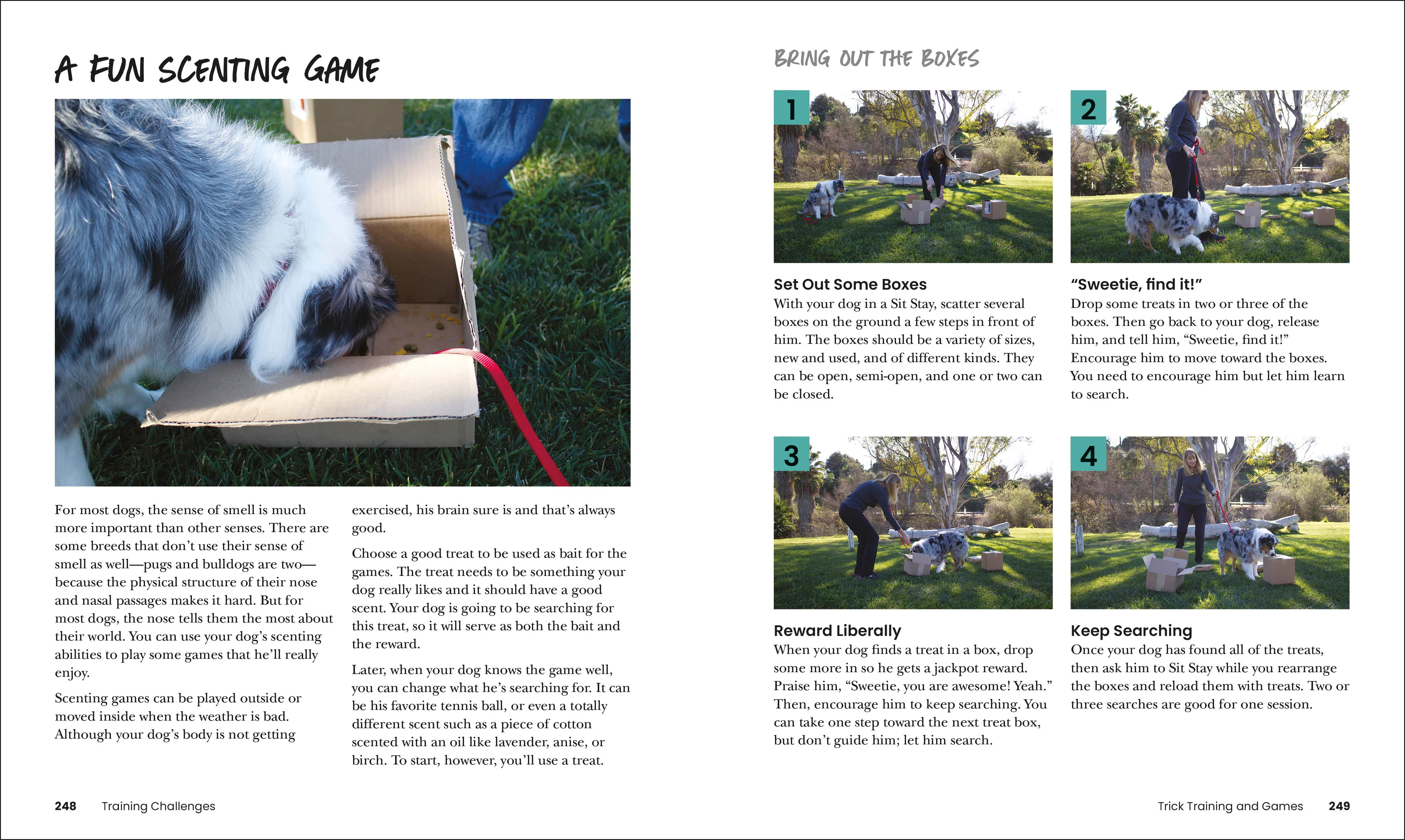 How to Train Your Dog - Image 11