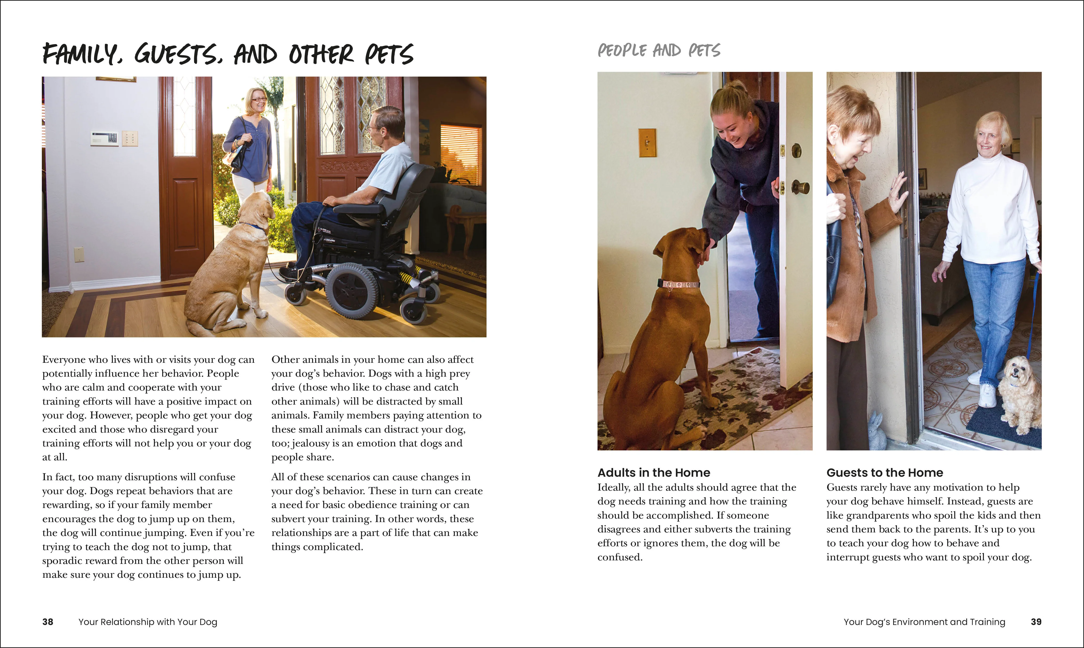 How to Train Your Dog - Image 3