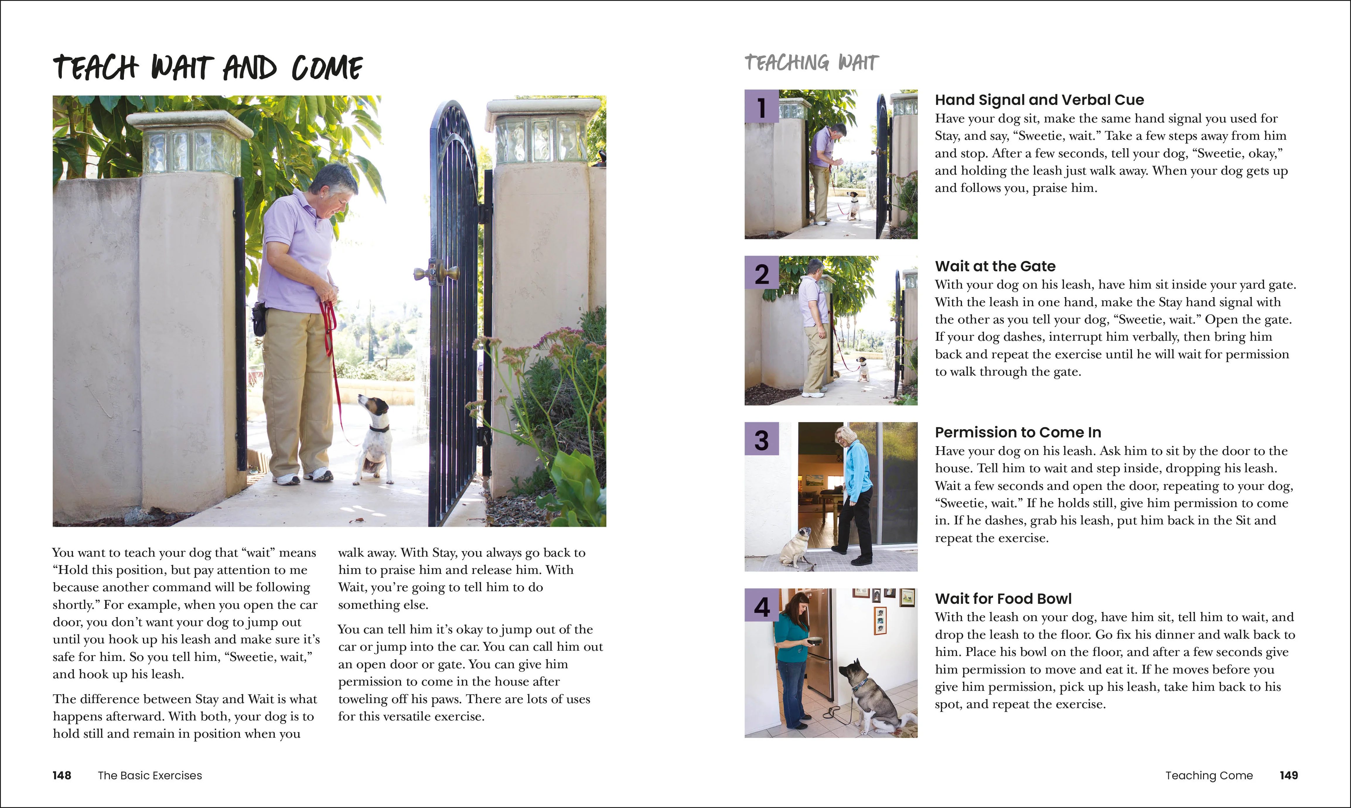 How to Train Your Dog - Image 6