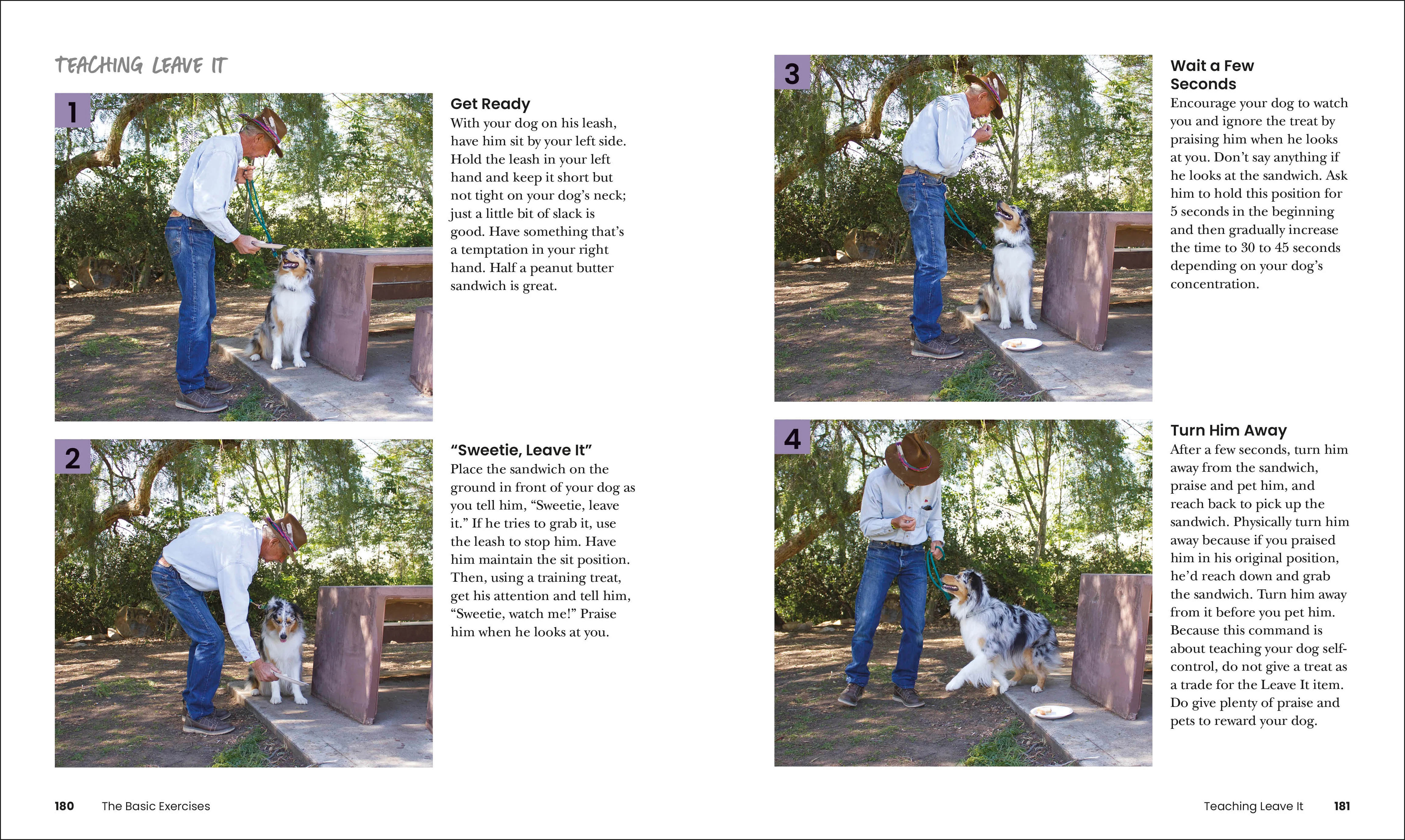 How to Train Your Dog - Image 7