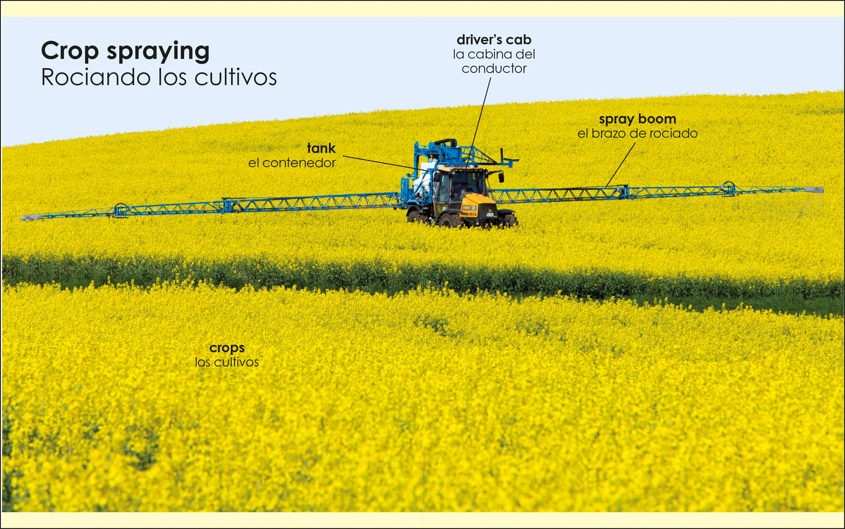 My First Bilingual tractors / los tractores - Image 3