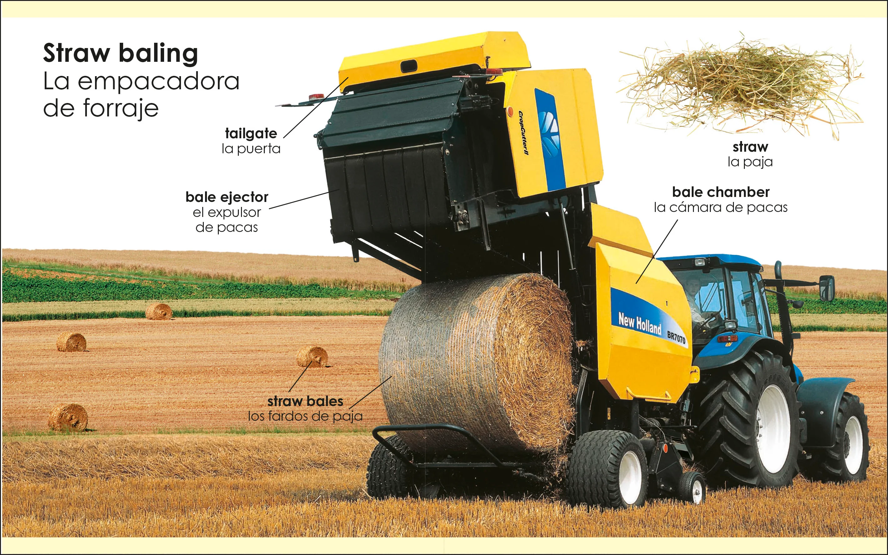My First Bilingual tractors / los tractores - Image 5