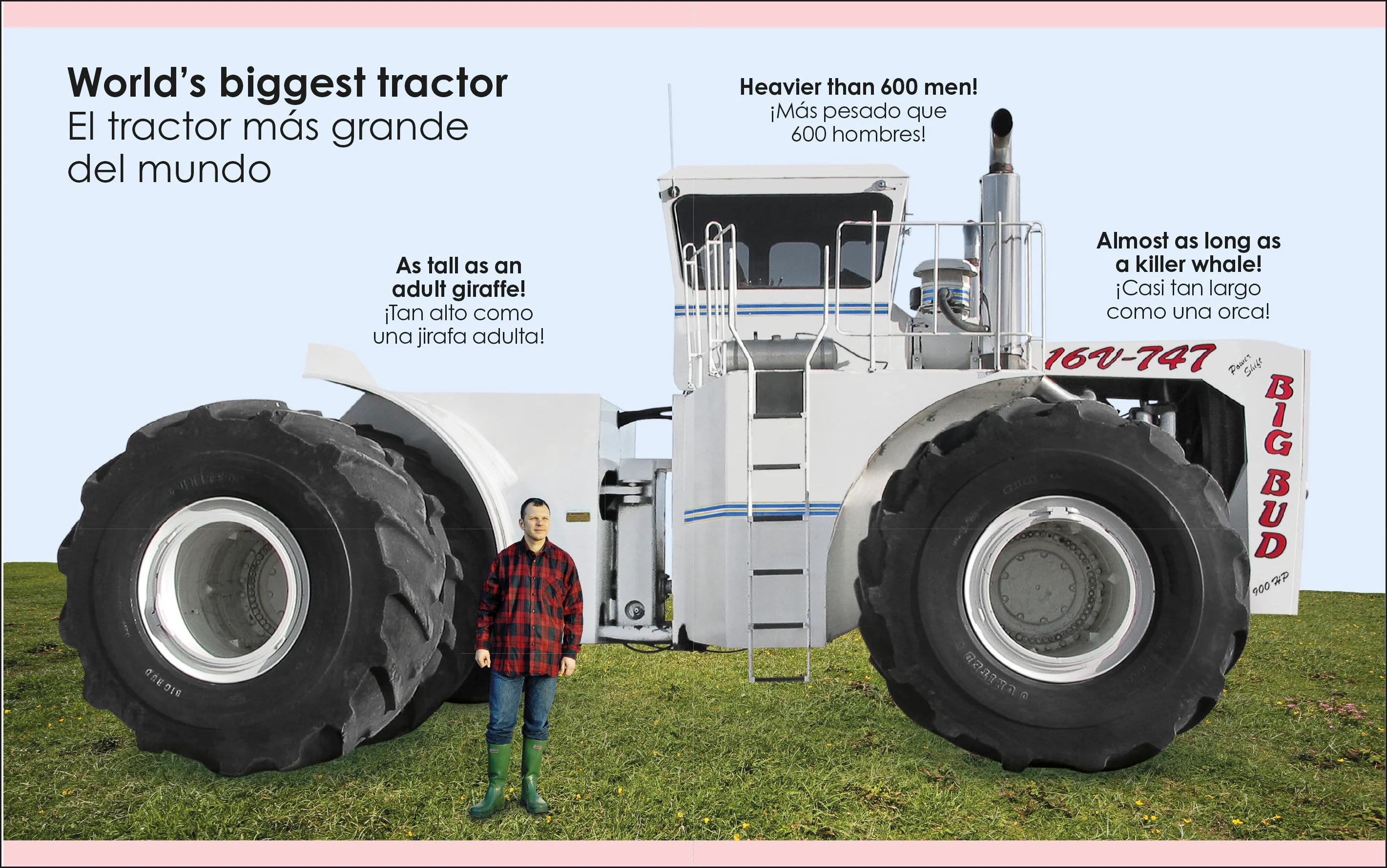 My First Bilingual tractors / los tractores - Image 6