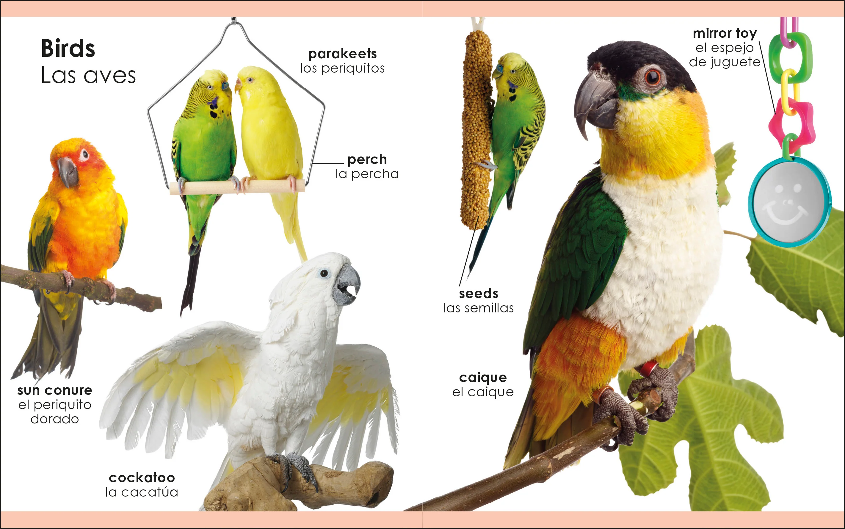 My First Bilingual Pets / los mascotas - Image 4