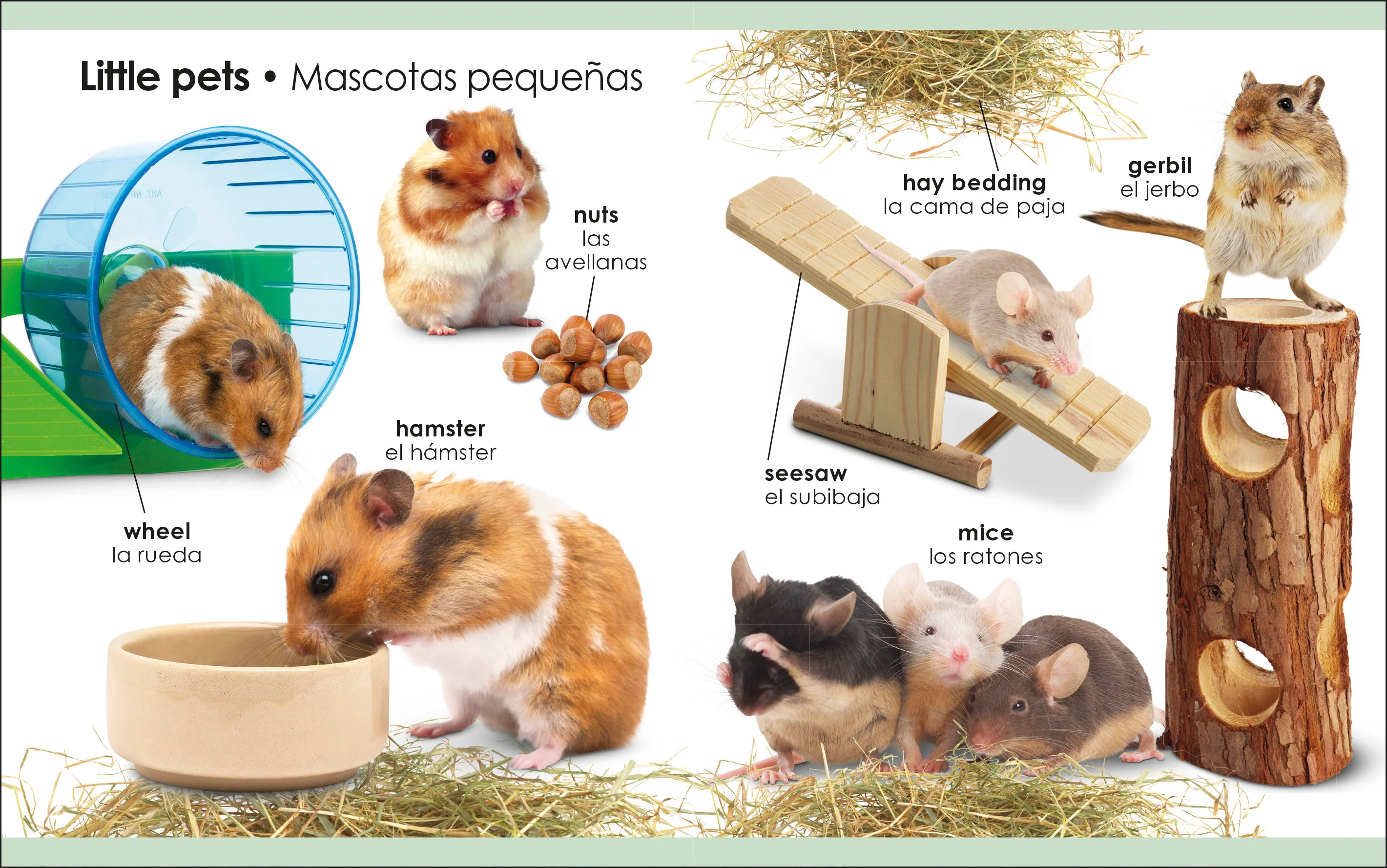 My First Bilingual Pets / los mascotas - Image 5