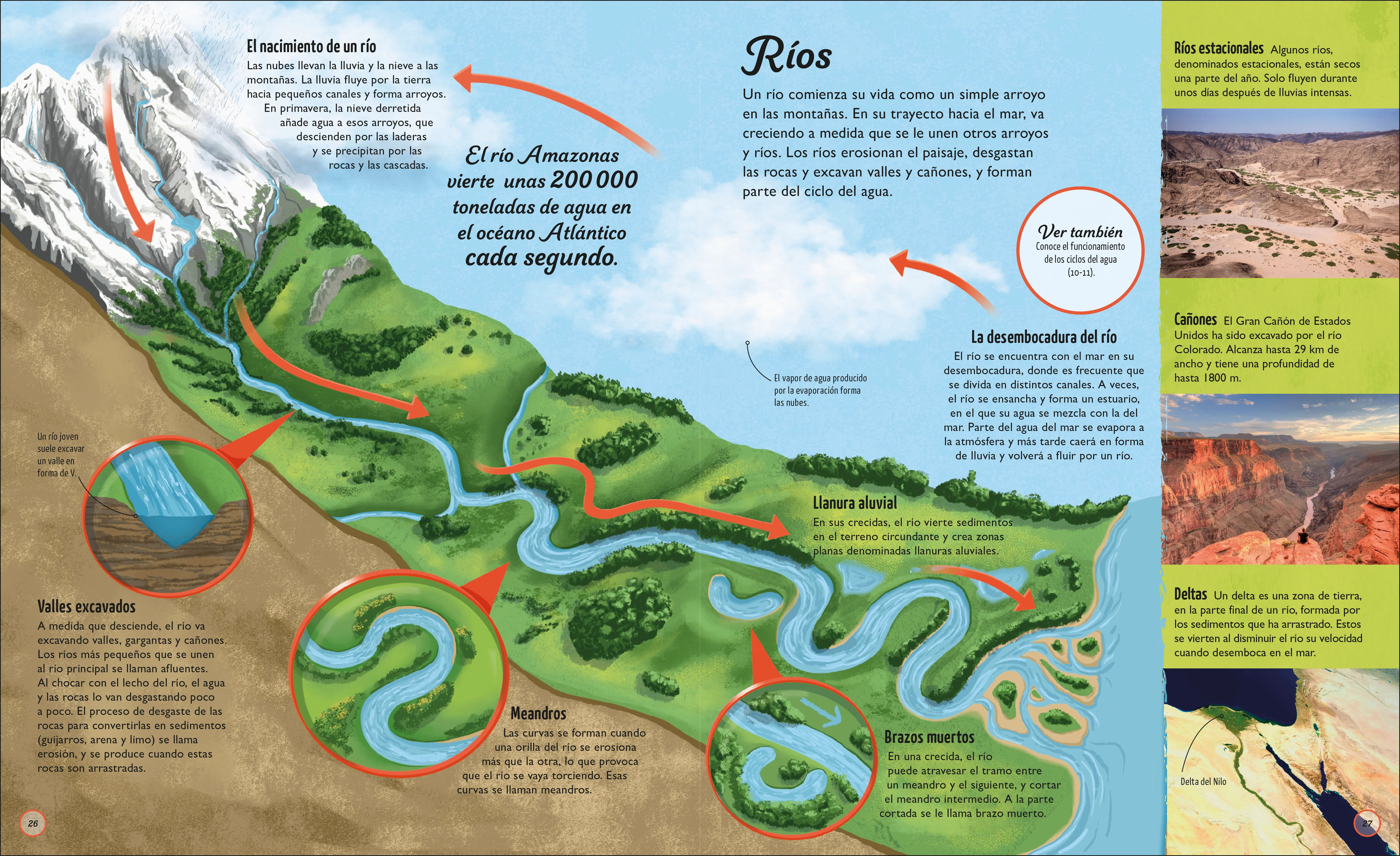 La vida del agua (Water Cycles) - Image 2