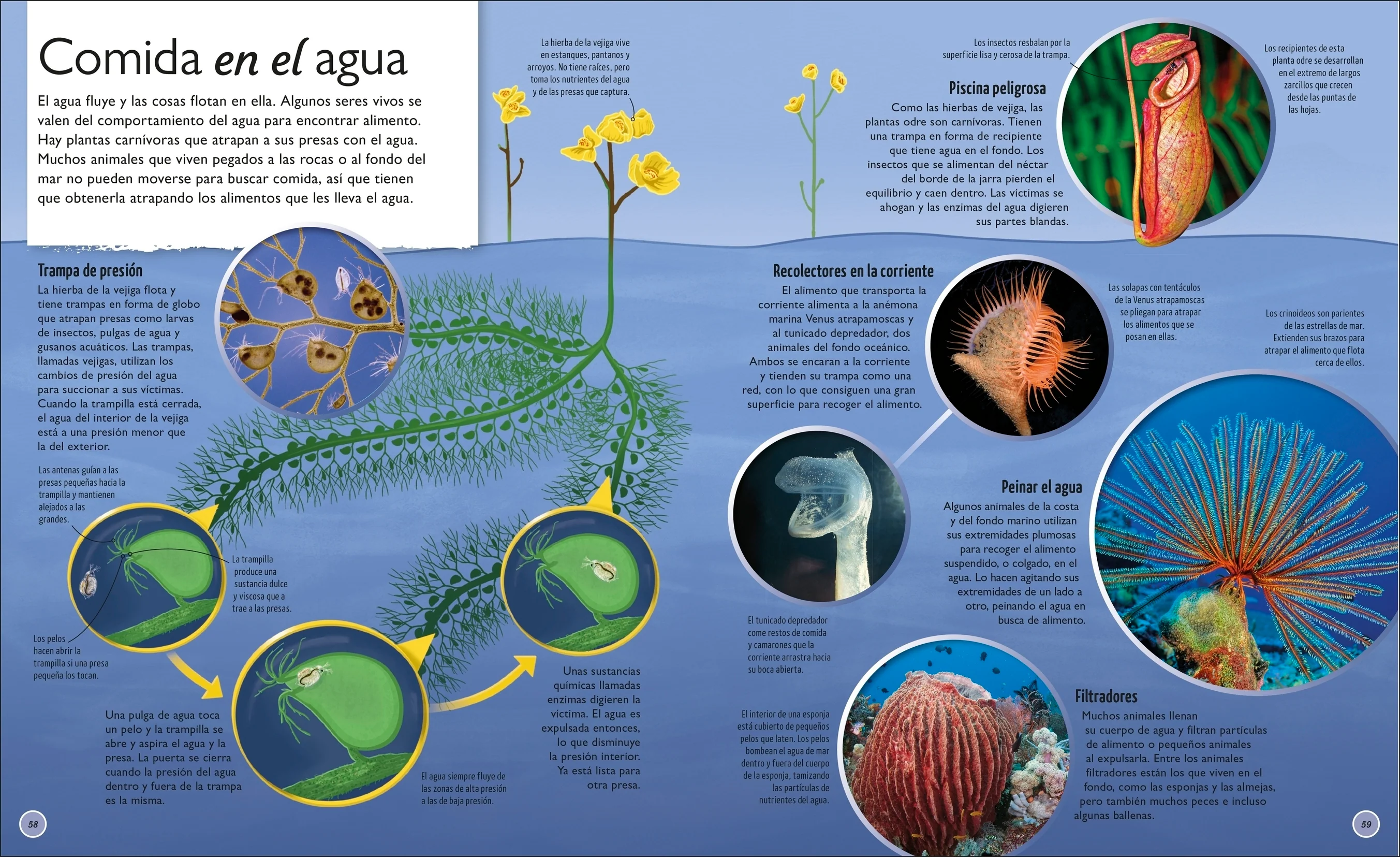 La vida del agua (Water Cycles) - Image 3