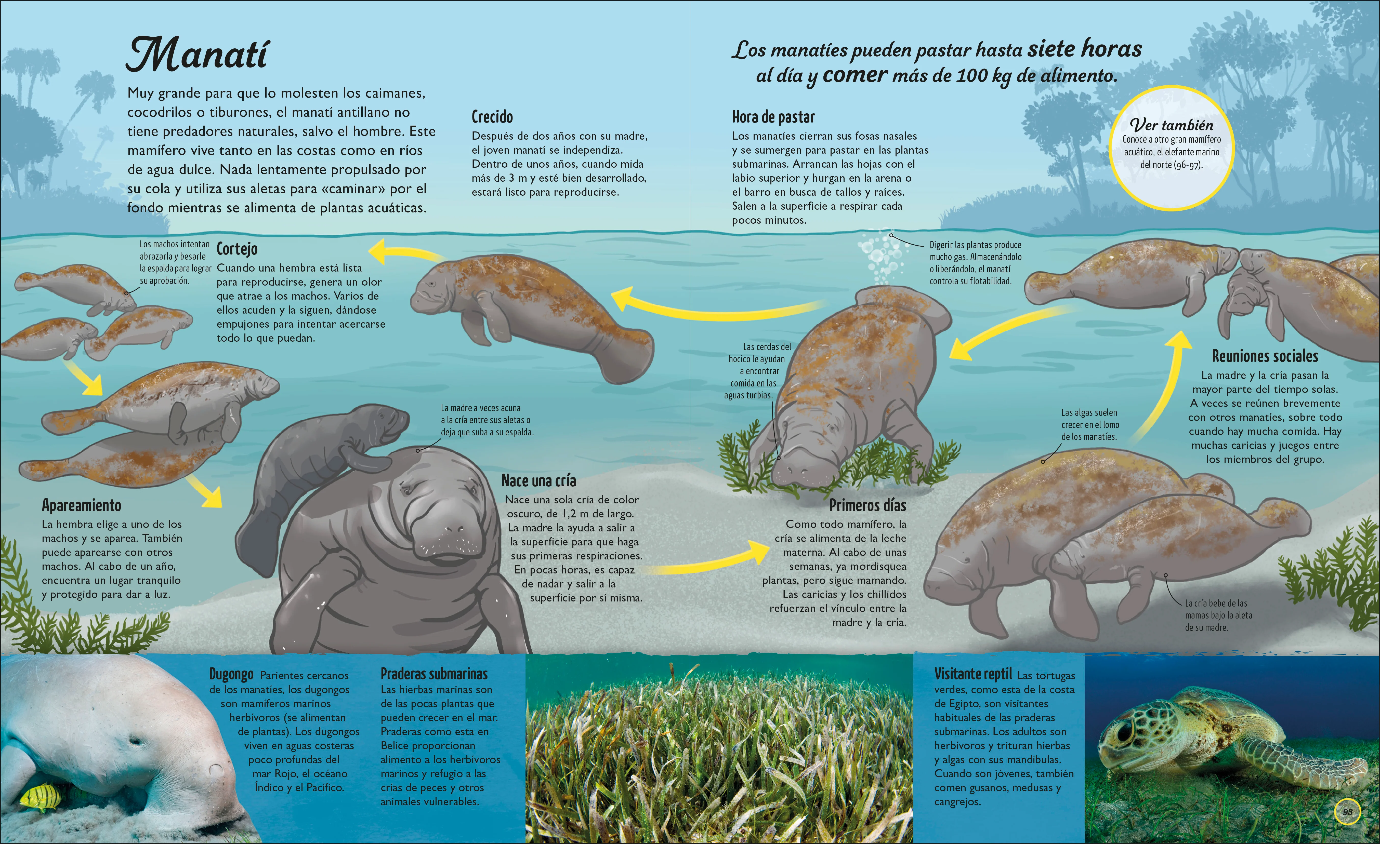 La vida del agua (Water Cycles) - Image 5