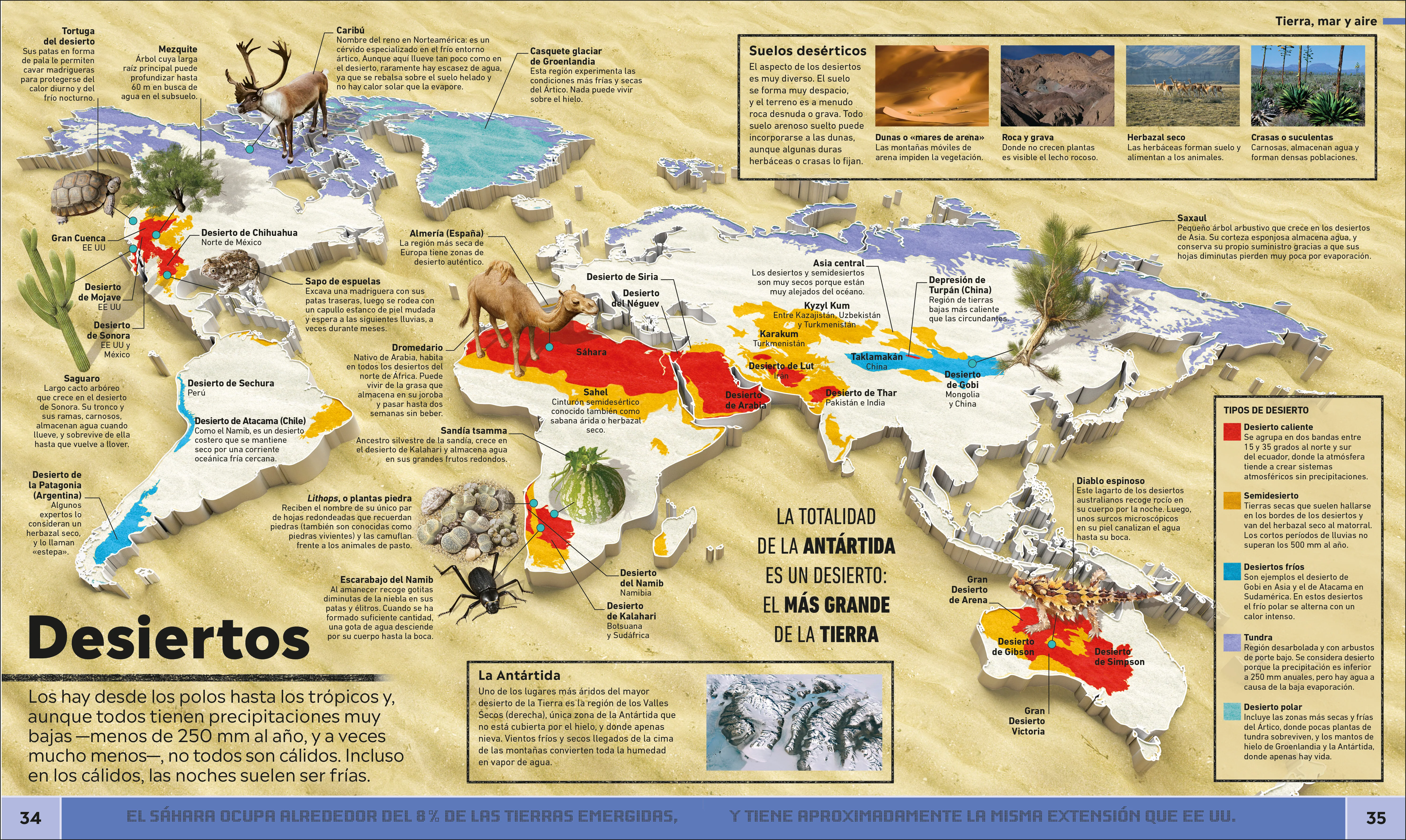 Atlas de curiosidades (Where on Earth?) - Image 2