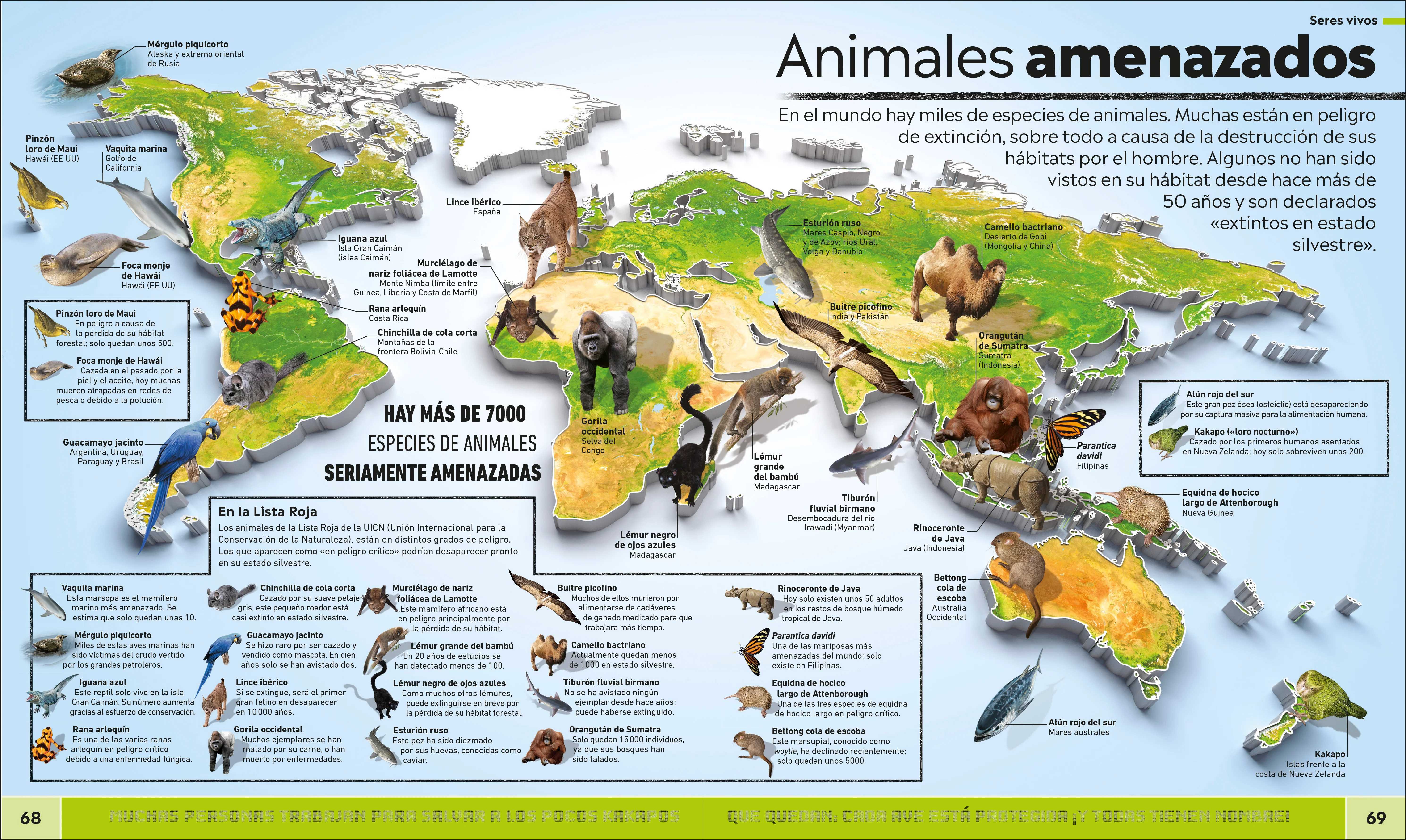 Atlas de curiosidades (Where on Earth?) - Image 3