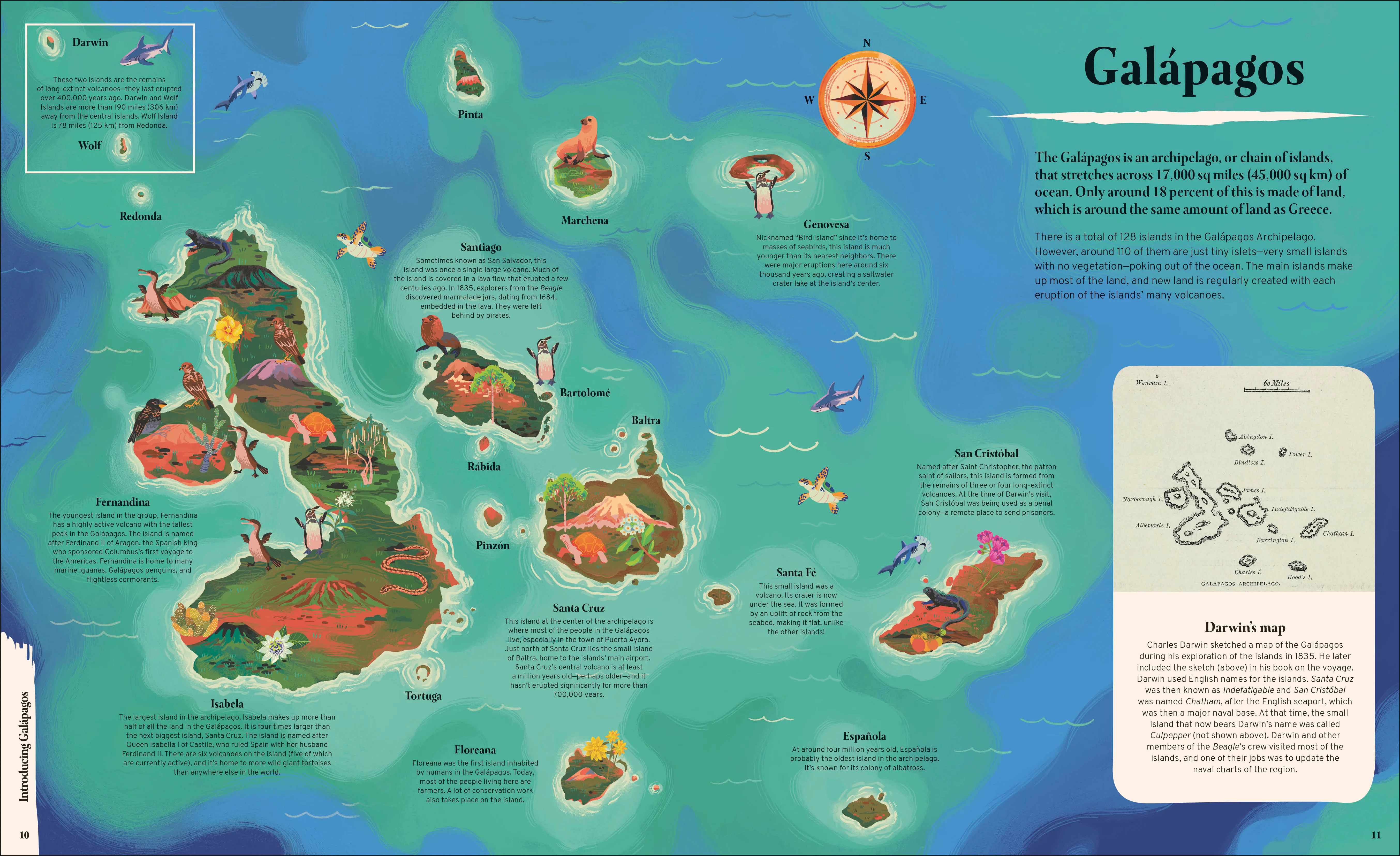 Galapagos - Image 2
