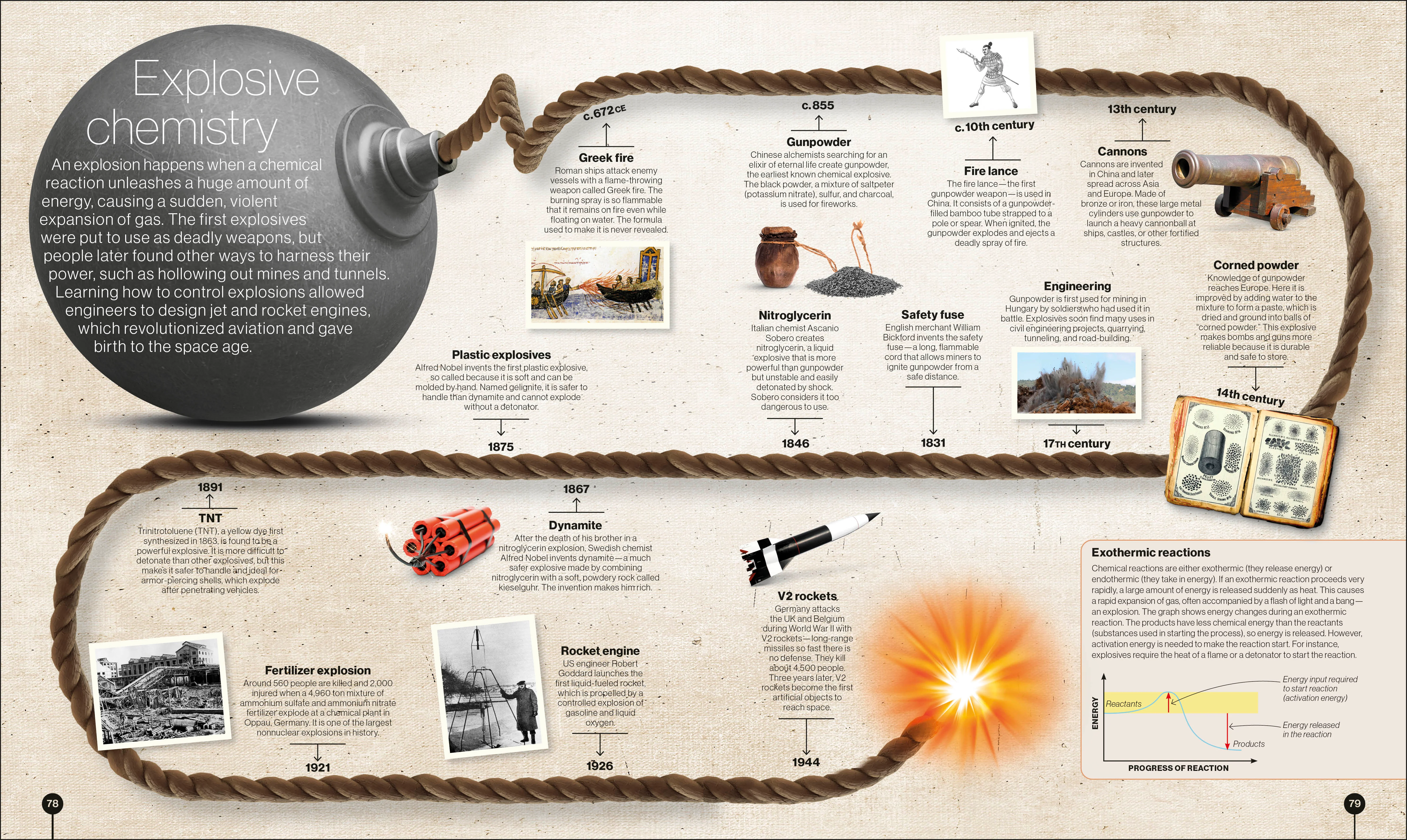 Timelines of Science - Image 5