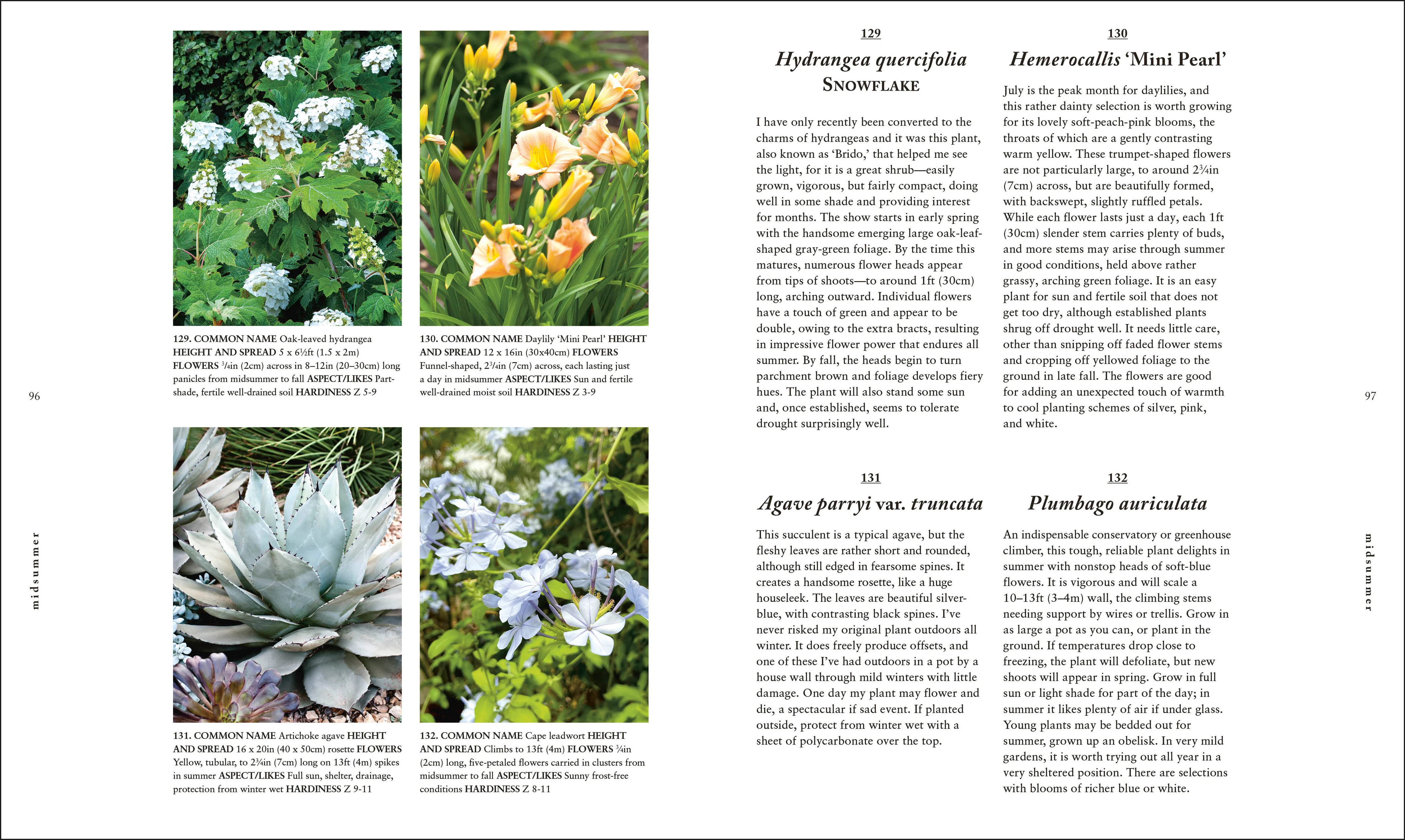 A Plant for Every Day of the Year - Image 3