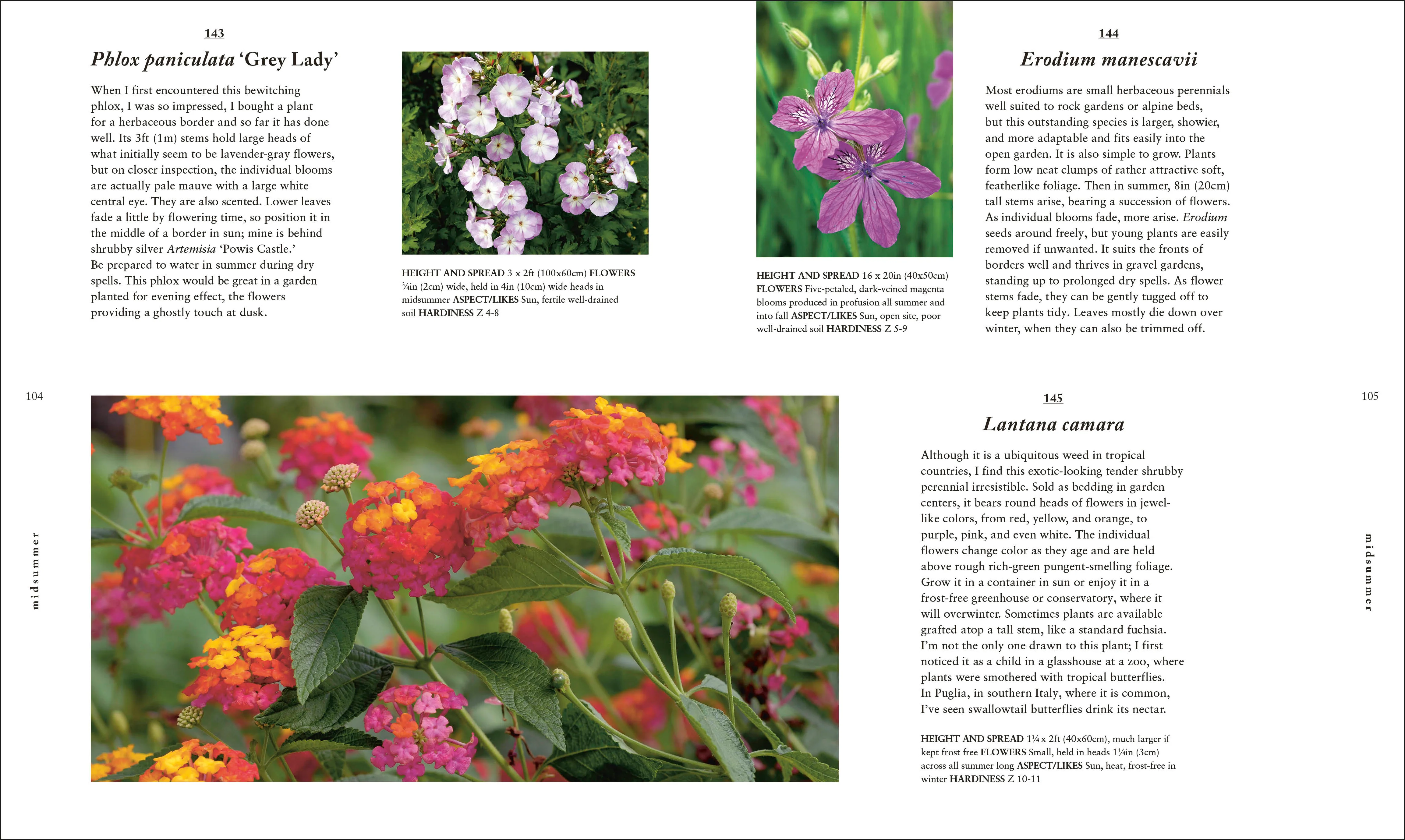 A Plant for Every Day of the Year - Image 4