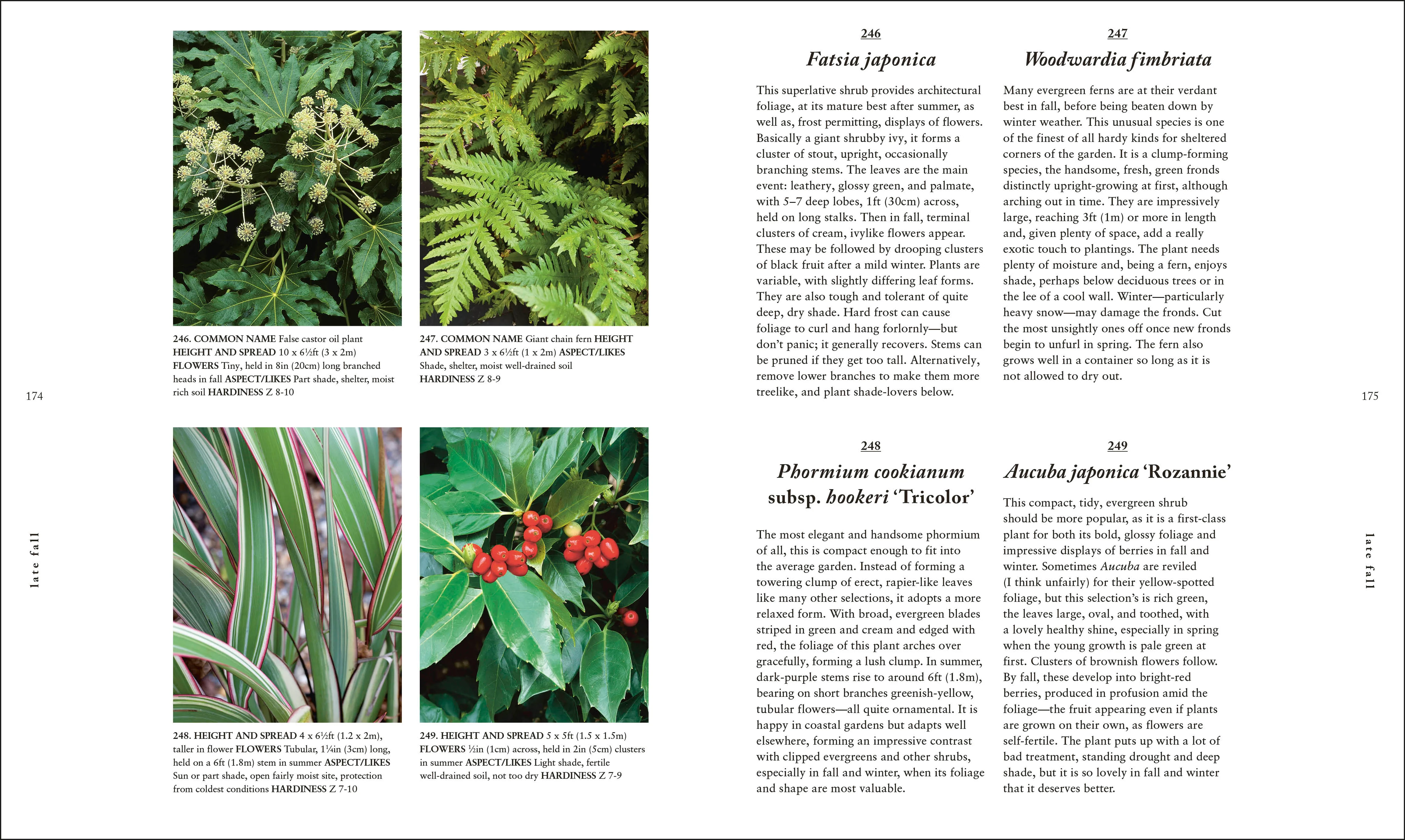 A Plant for Every Day of the Year - Image 7