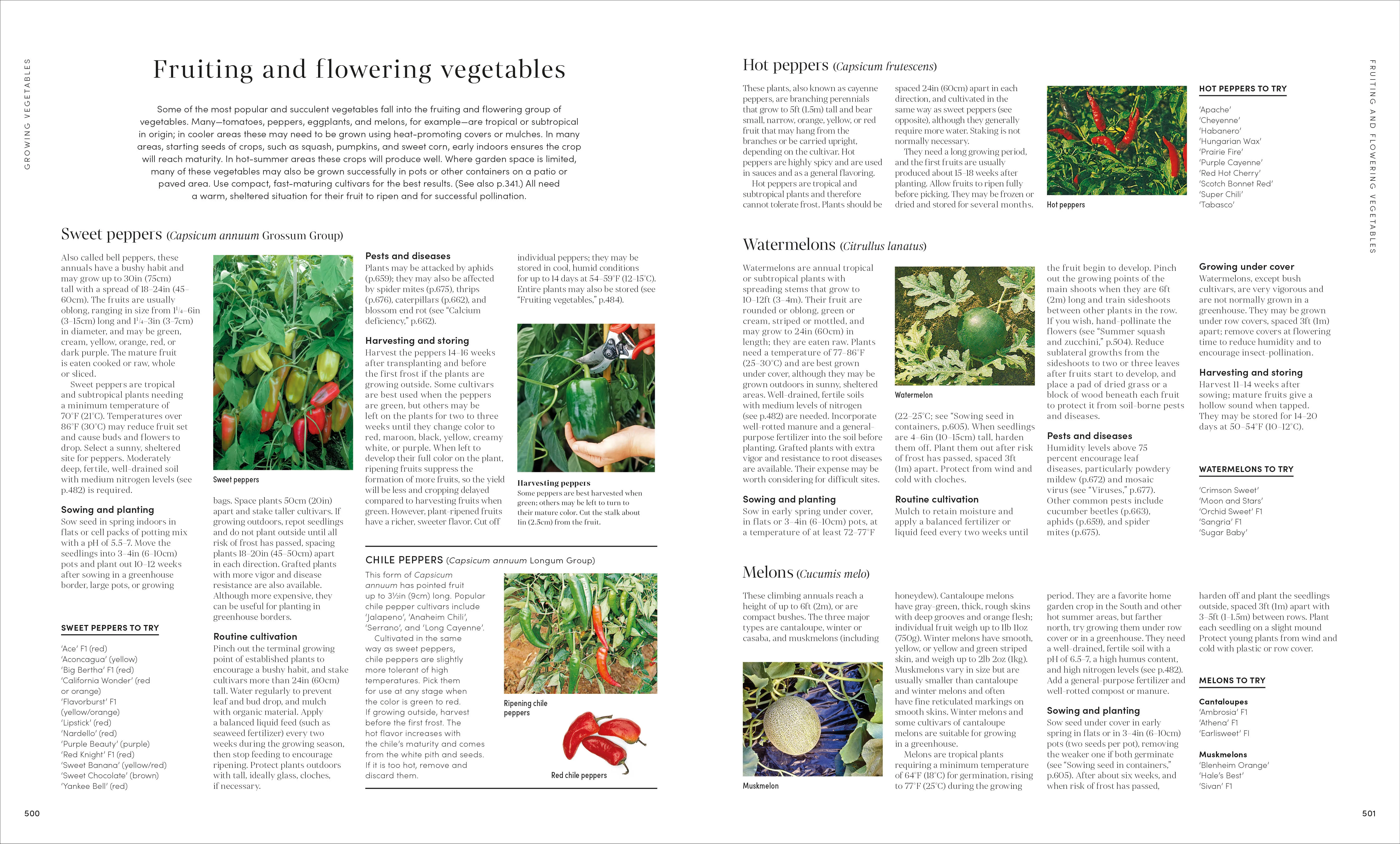 Encyclopedia of Gardening New Edition - Image 7