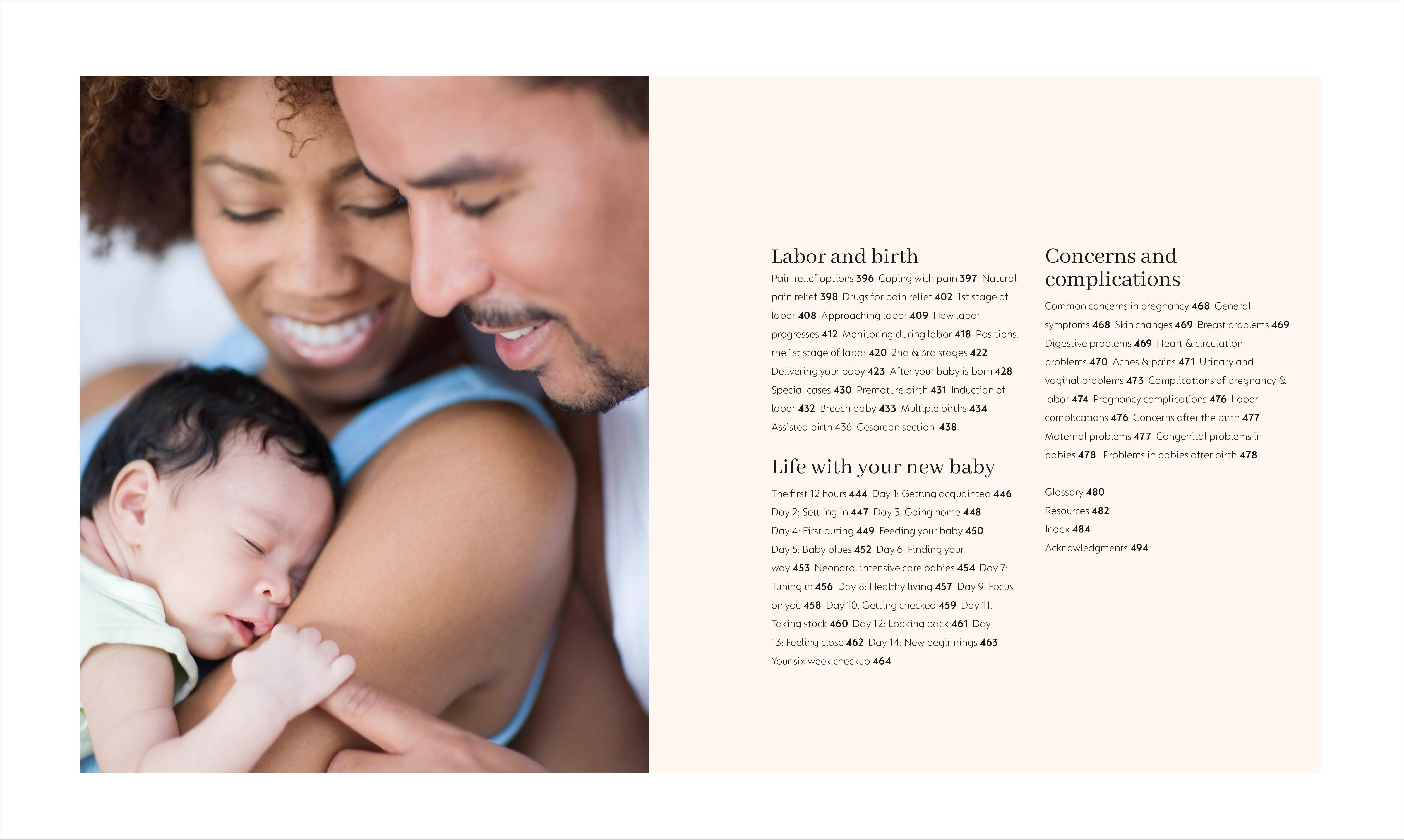 Pregnancy Day-by-Day - Image 3