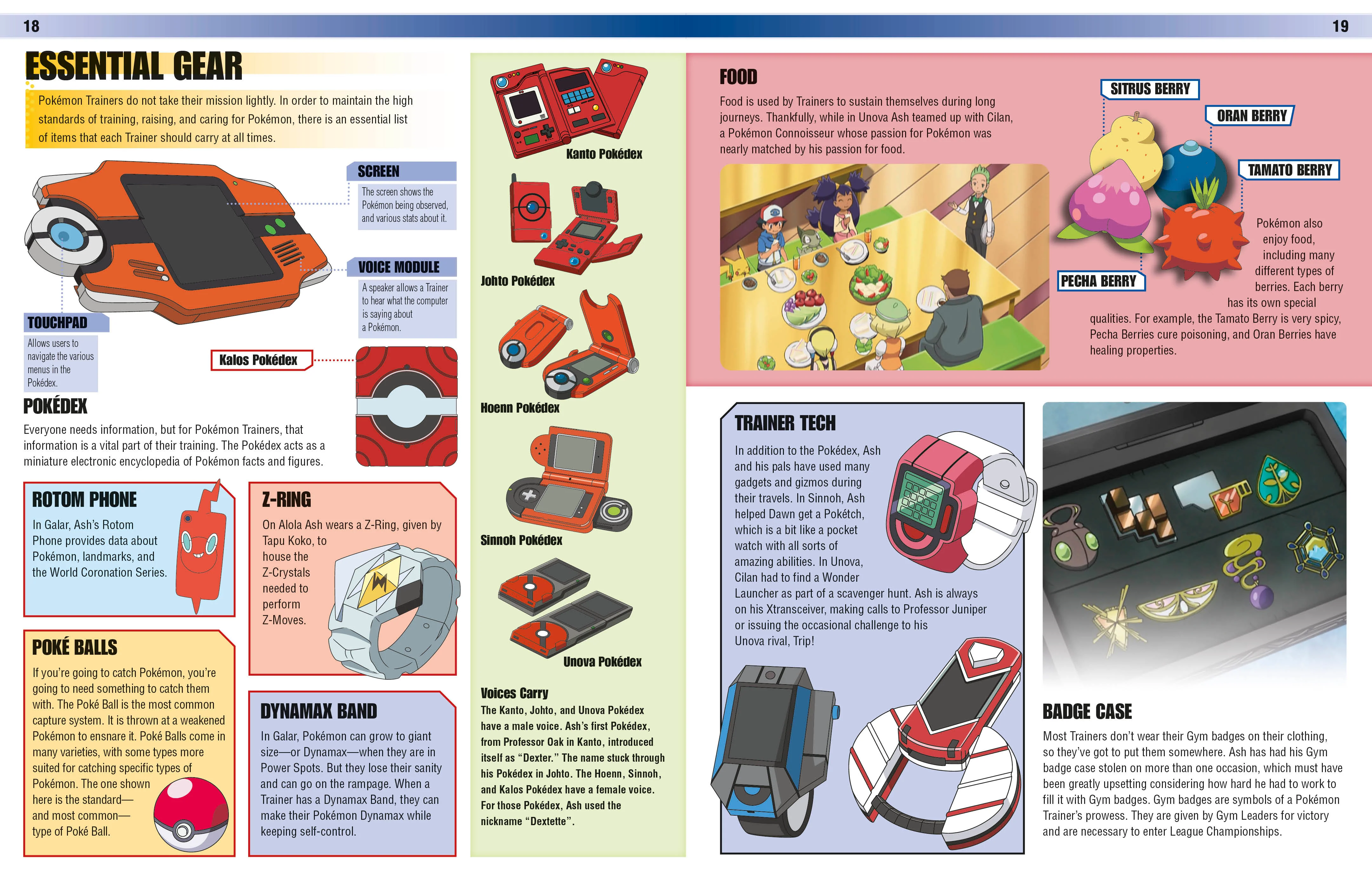 Pokemon Visual Companion Fourth Edition - Image 3