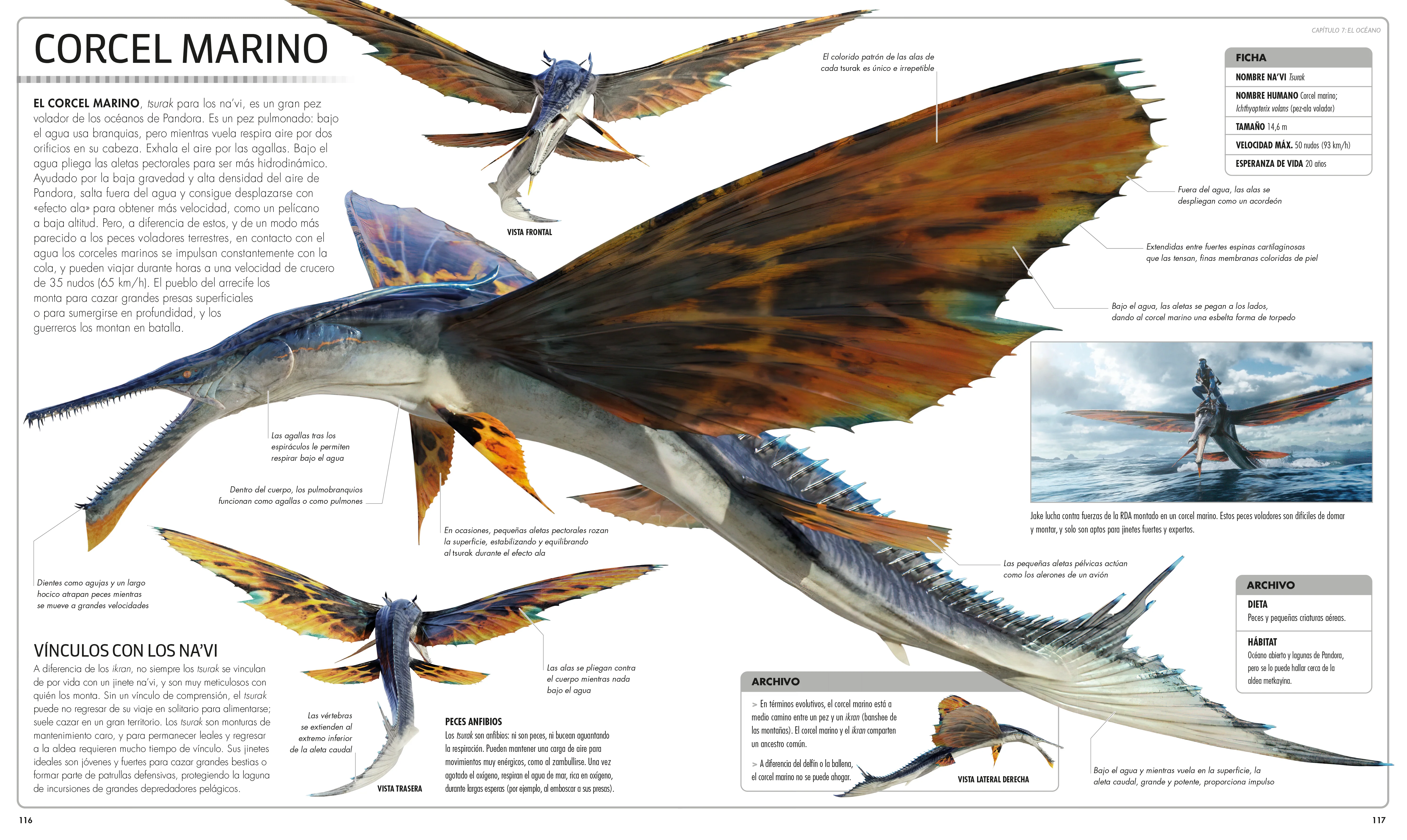 Avatar: El camino del agua. Diccionario visual (Avatar The Way of Water The Visual Dictionary) - Image 5