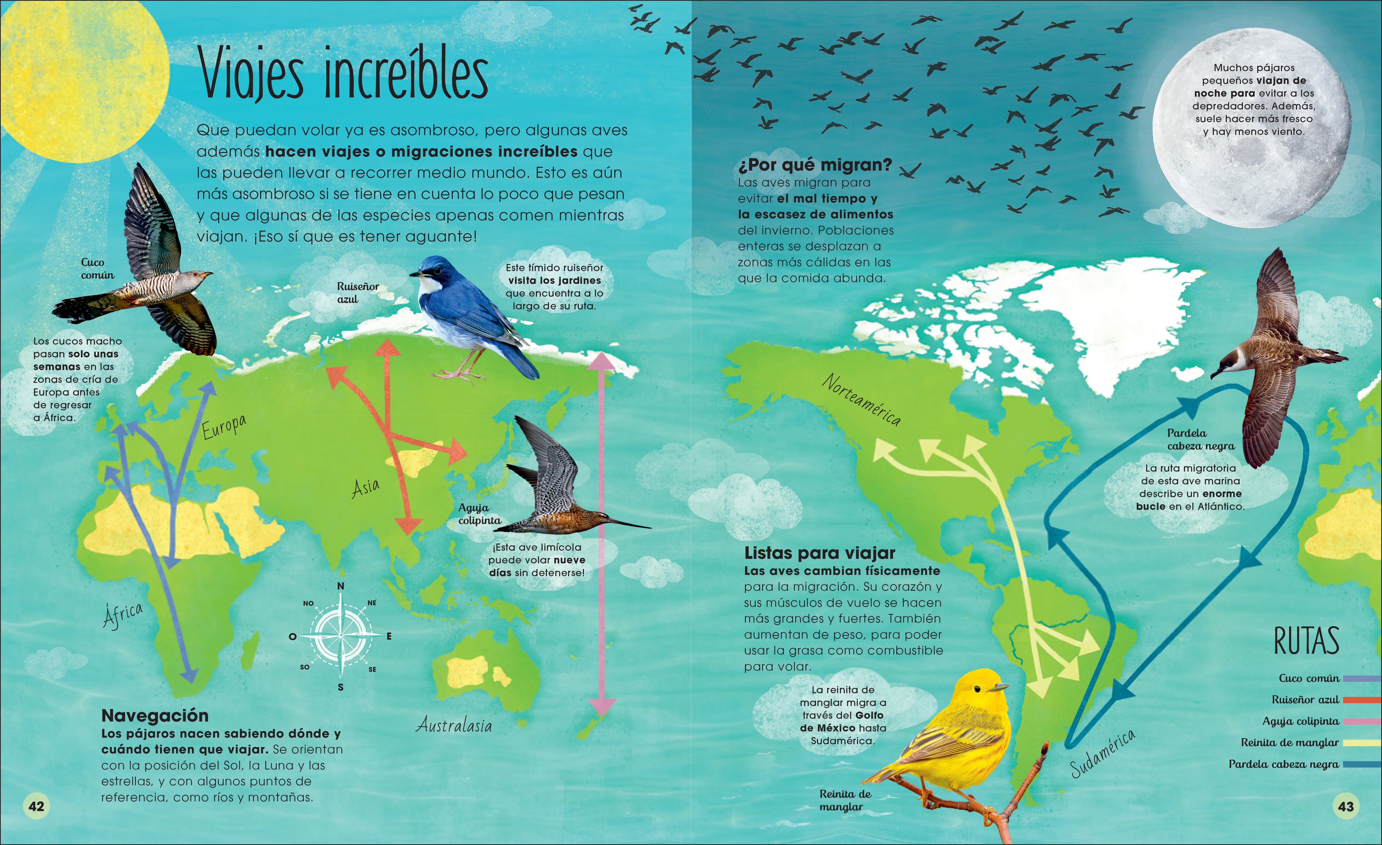 La vida secreta de las aves (The Extraordinary World of Birds) - Image 6