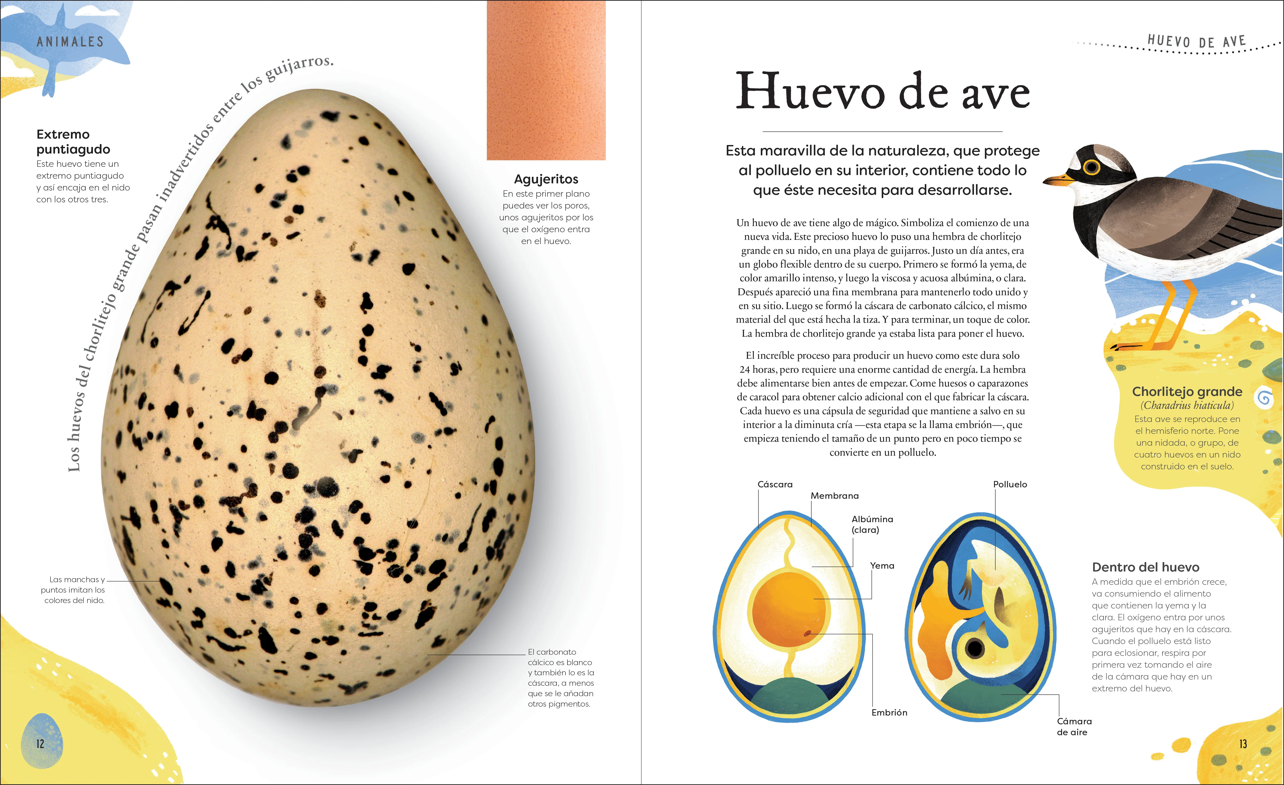 Tesoros de la naturaleza (Nature's Treasures) - Image 2